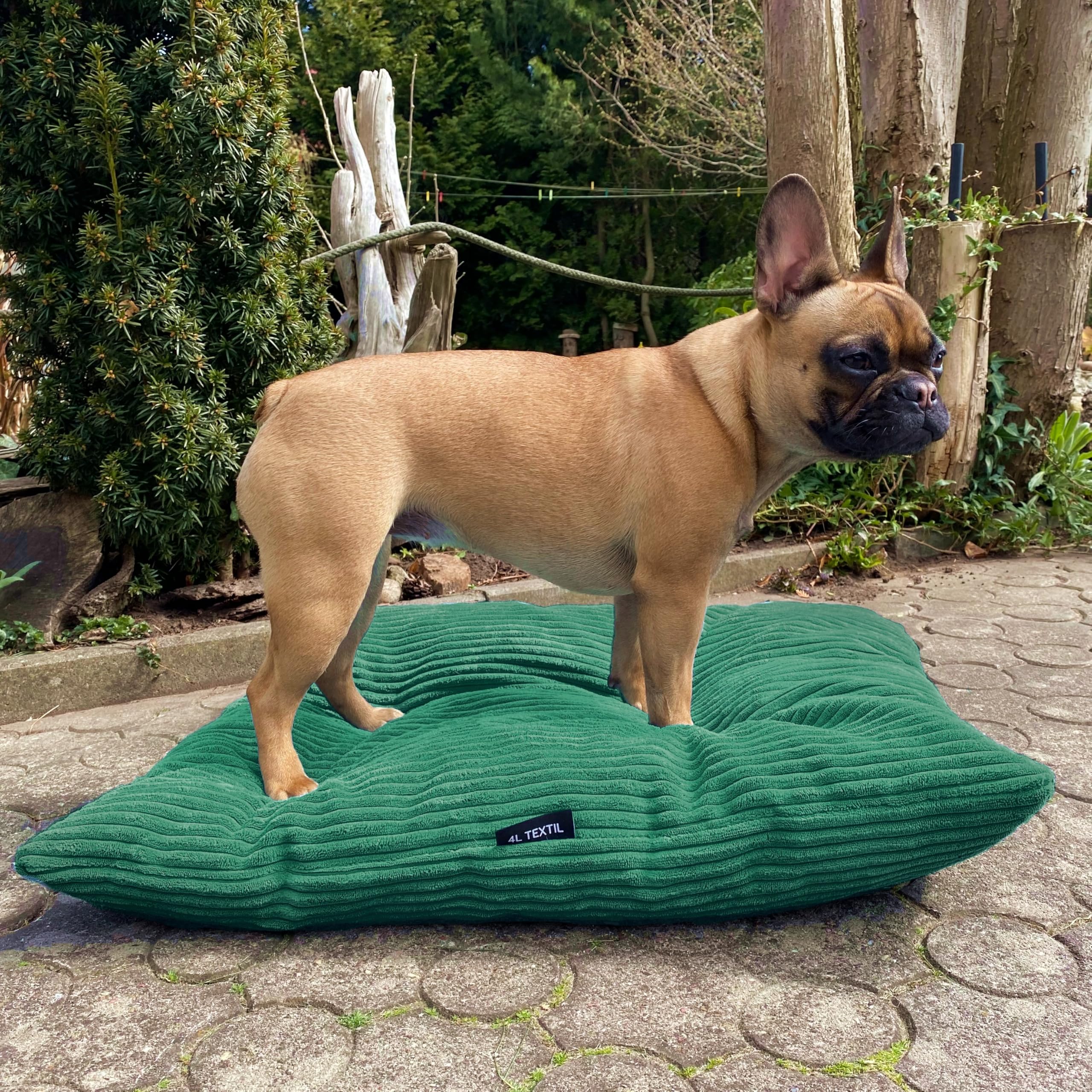 4L Textil ZOE Hondenkussen, wollig corduroy, hondenbed voor grote honden met overtrek en ritssluiting, knuffelig hondenkussen, wasbaar, 60 x 50 cm, grafiet, strepen 4L Textil ZOE Hondenkussen, wollig corduroy, hondenbed voor grote honden met overtrek en ritssluiting, knuffelig hondenkussen, wasbaar, 60 x 50 cm, grafiet, strepen