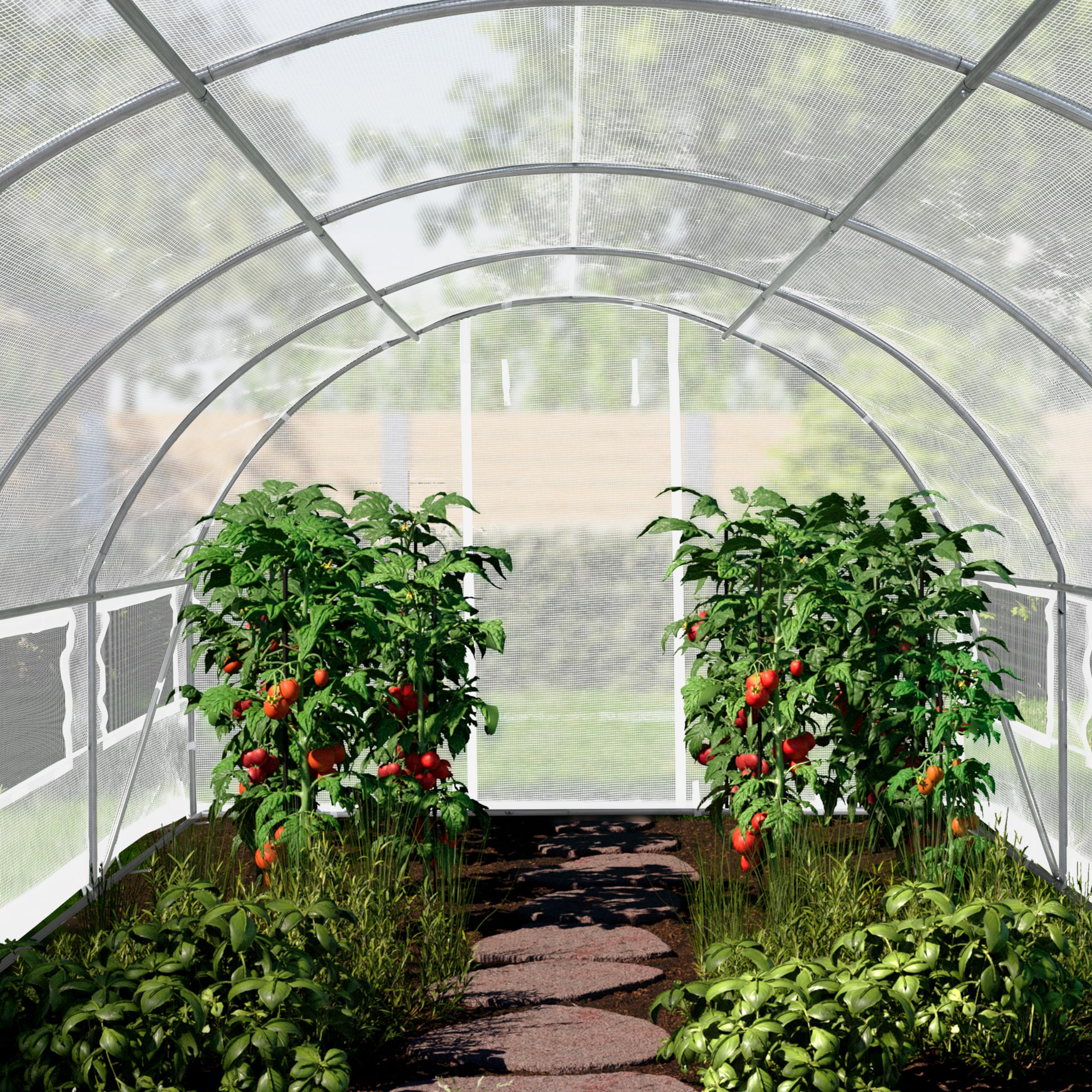 TOOLPORT Serre de Jardin Serre Tunnel Plastique Robuste 2x3m - Bâche PE 180g/m² Blanc Transparent