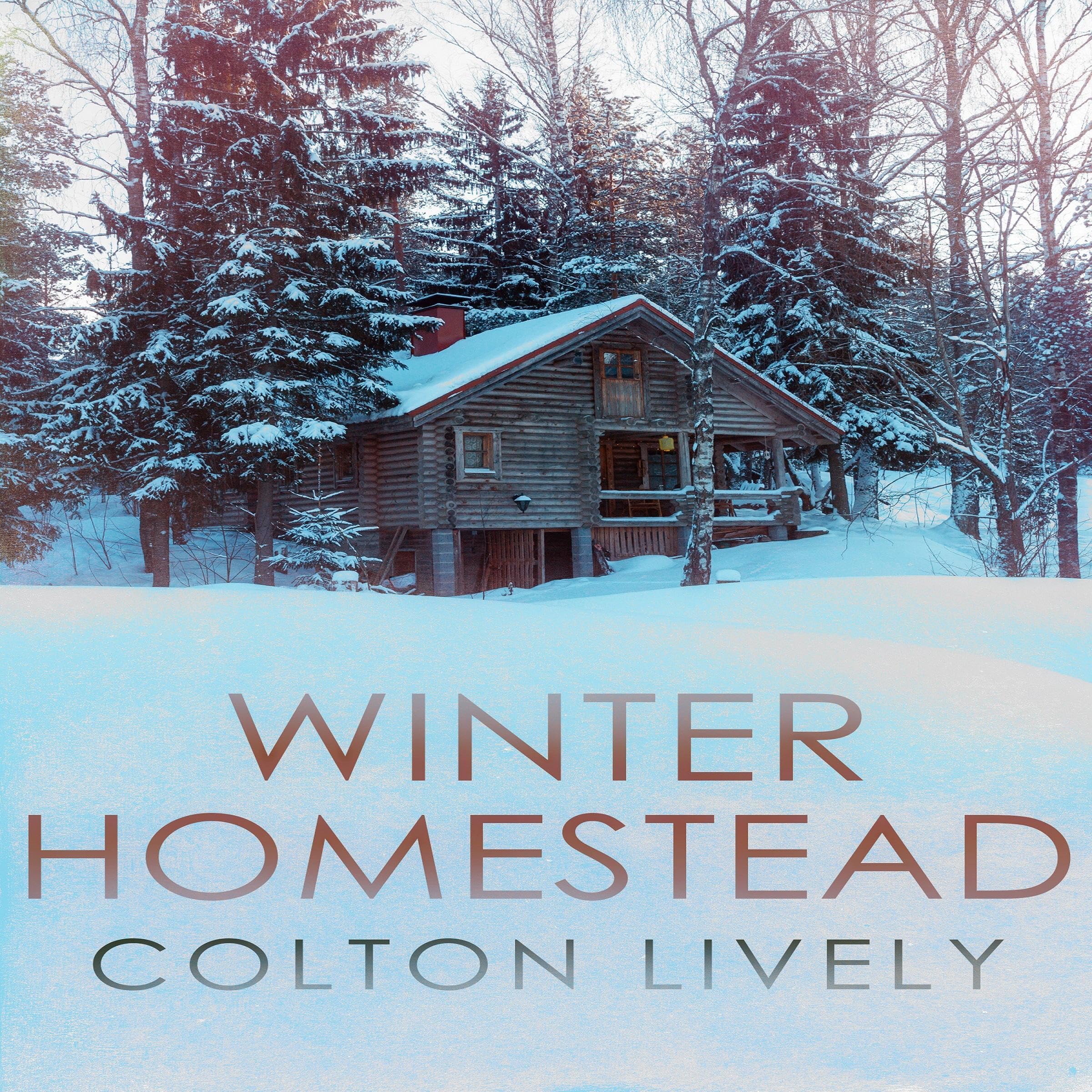 Cover art for Winter Homestead