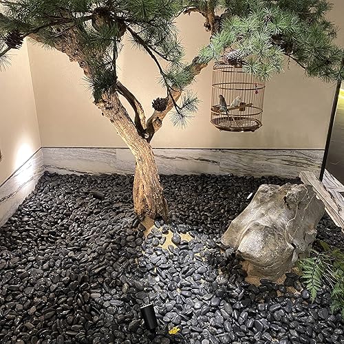 Miniatura 6 de Piedras negras pulidas naturales, rocas decorativas de río negro de 1.2 a 2 pulgadas para plantas, piedras para macetas, rocas de paisajismo,