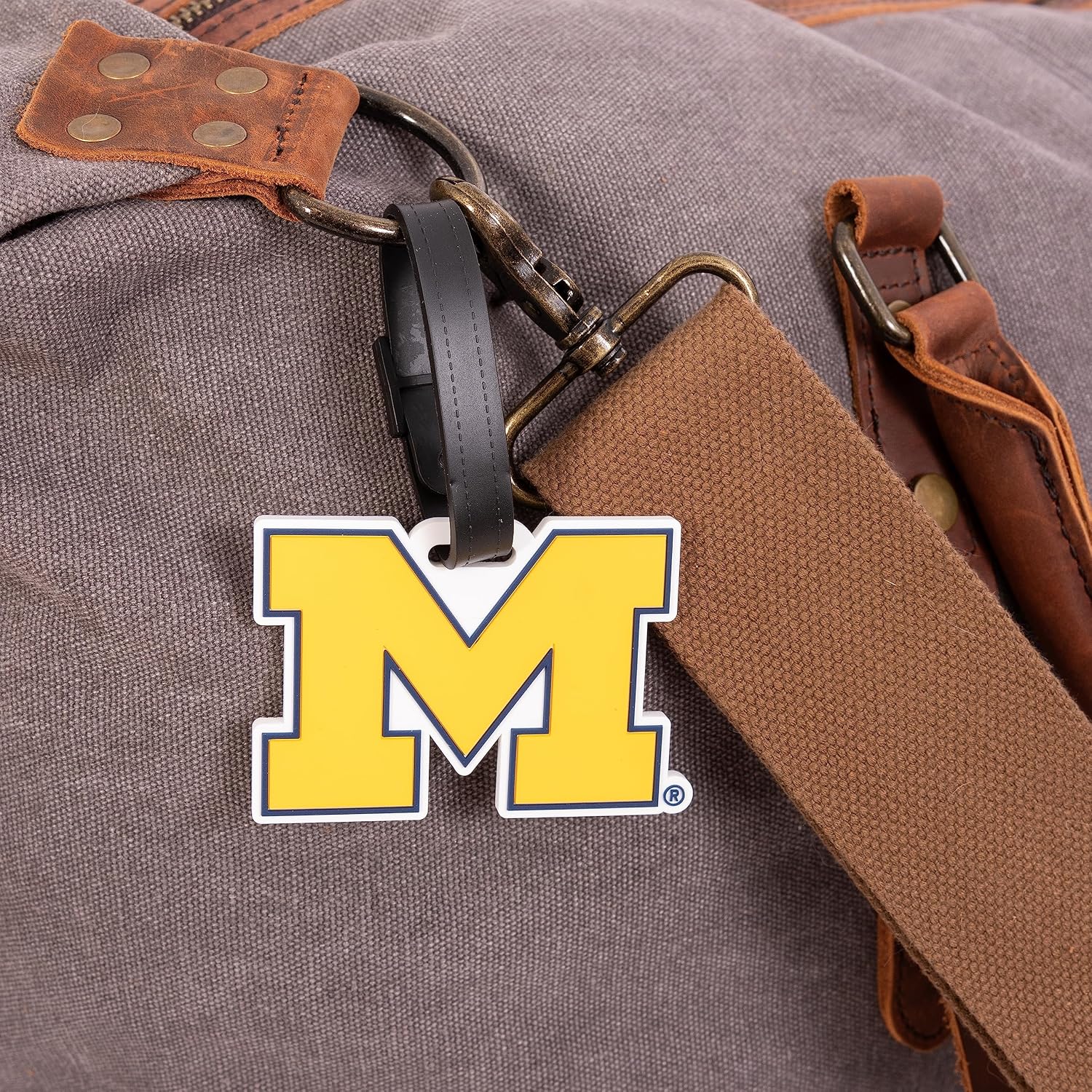 Desert Cactus University of Michigan Luggage Tag UM Wolverines Durable PVC Travel ID Label for Bags and Backpacks (Design A) (Pack of 2)