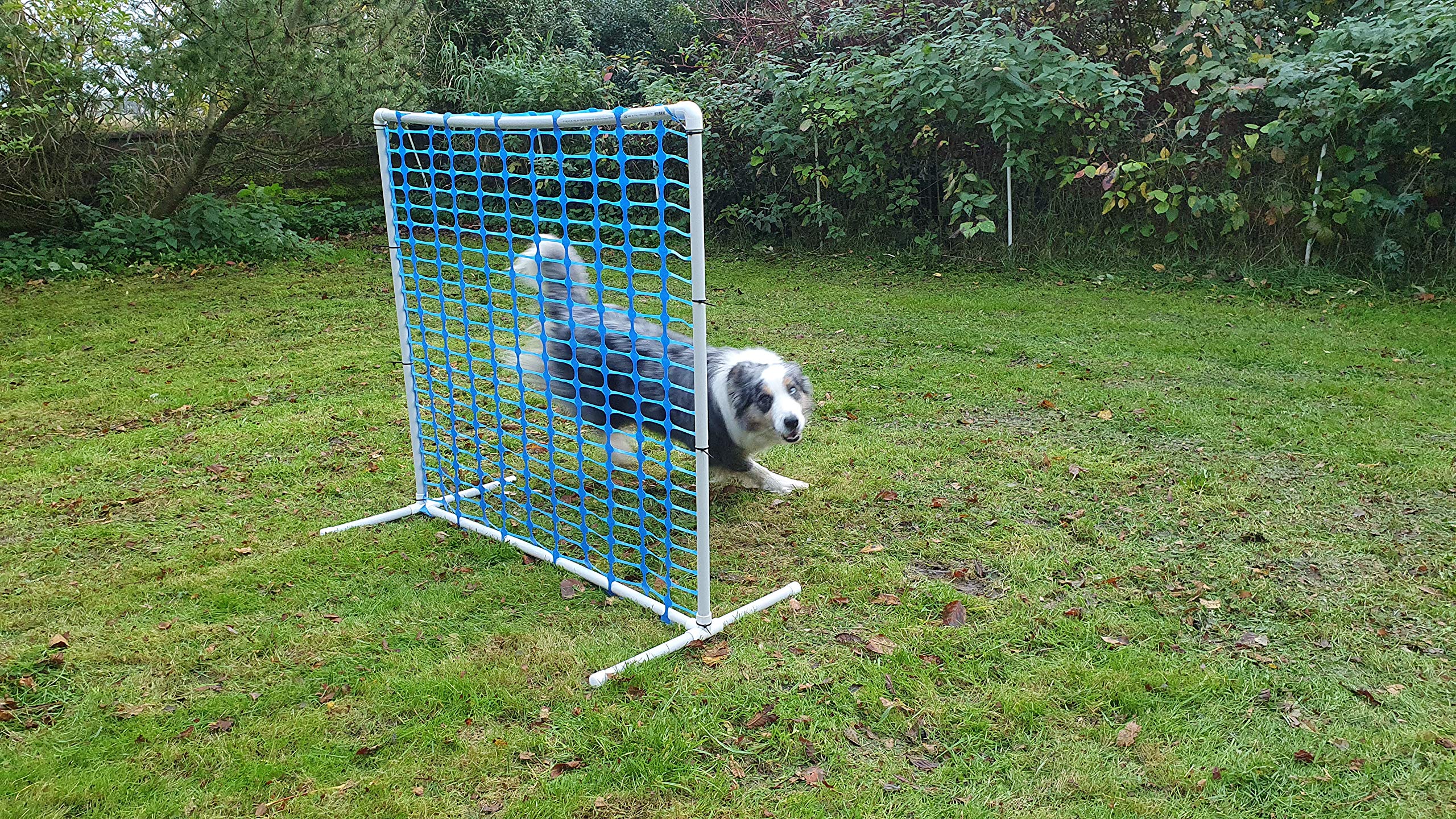 Generisch HOOPERS Agility Combi-Set, 1 Gate/Zaun blau, 3 Bögen rot-blau-gelb