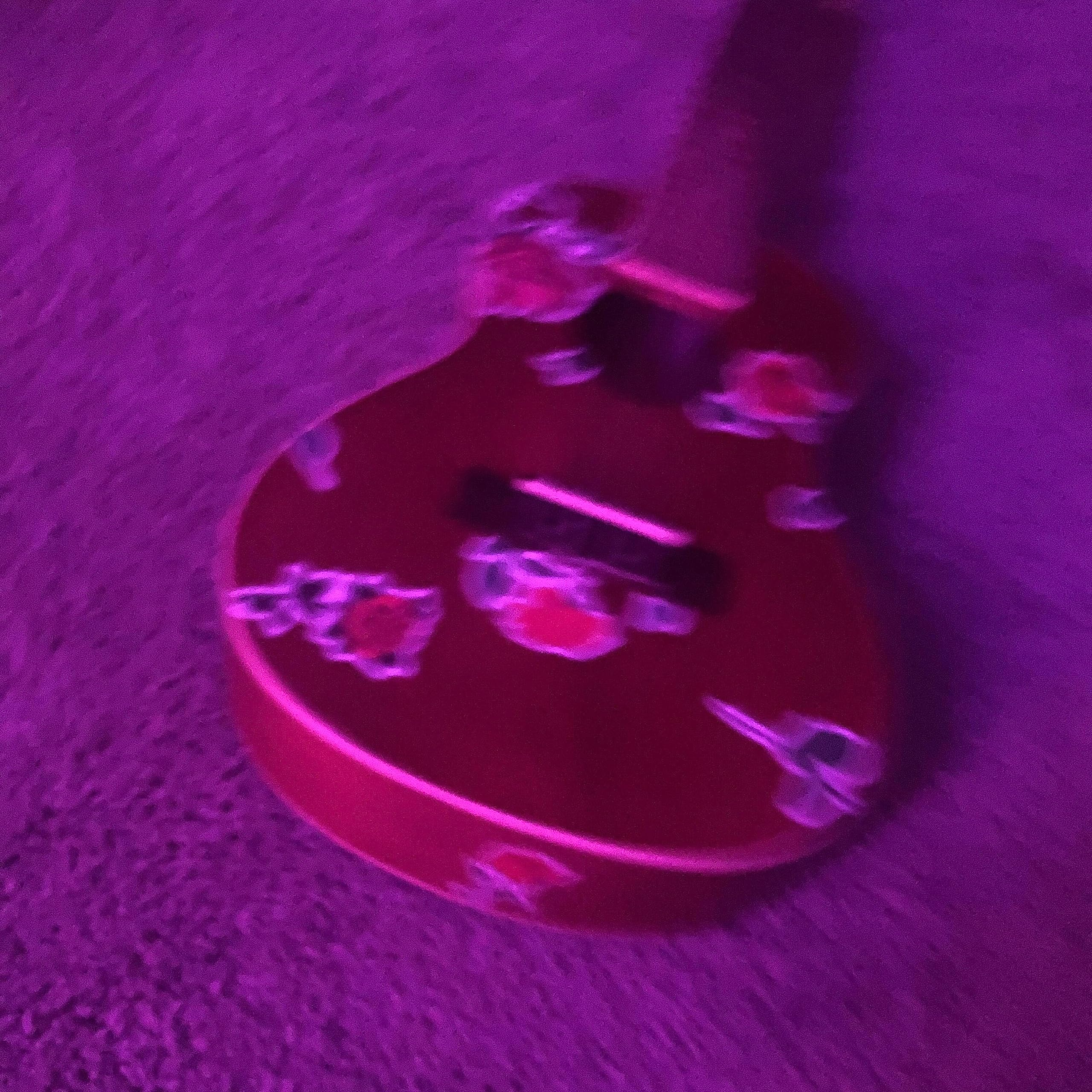 Flowers n Roses n such