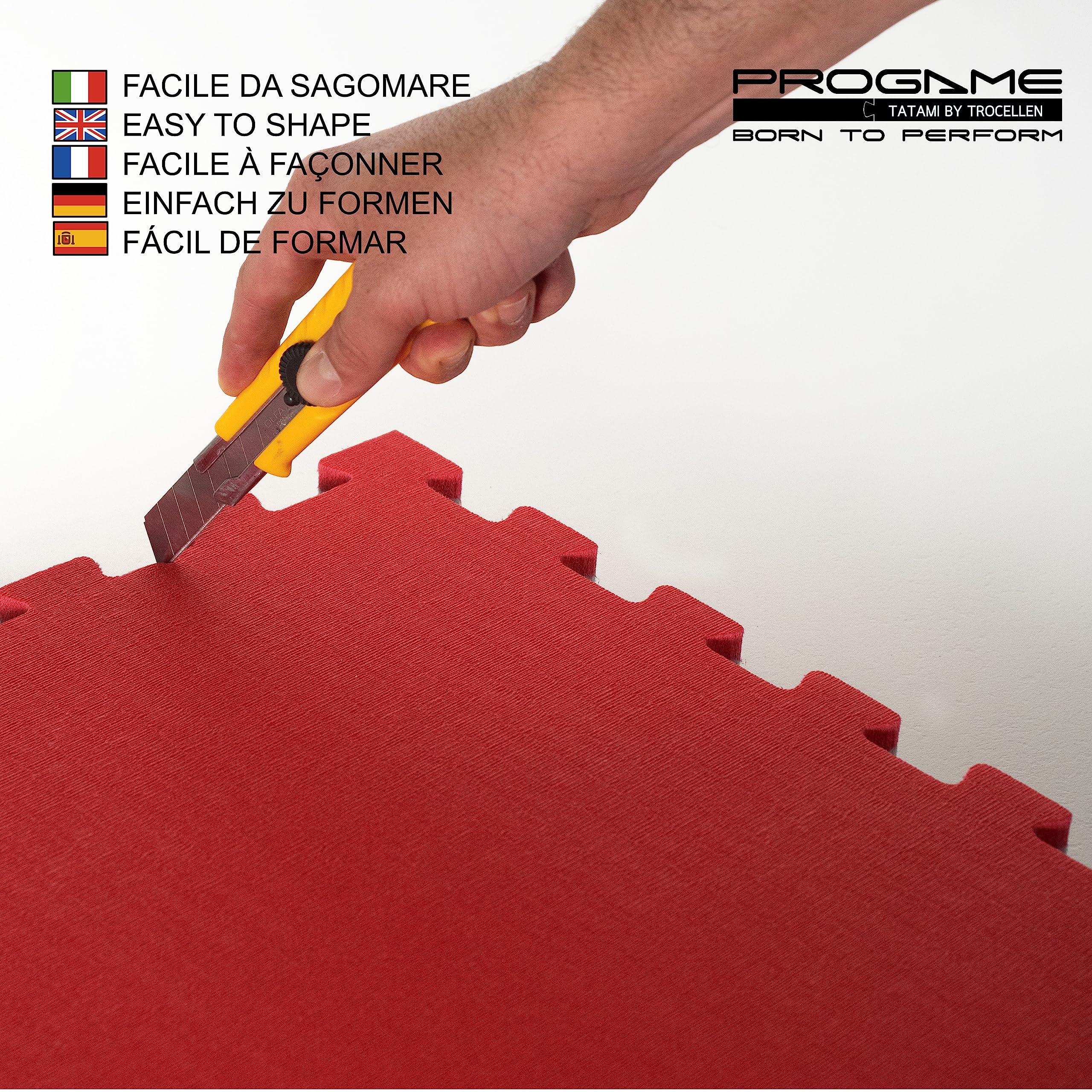 PROGAME Kit 4 pezzi Tatami Palestra 100x100x4 cm [Superficie Totale 200x200 cm] Performance PLUS Home Verde/Rosso. Tappeto Arti Marziali Professionale