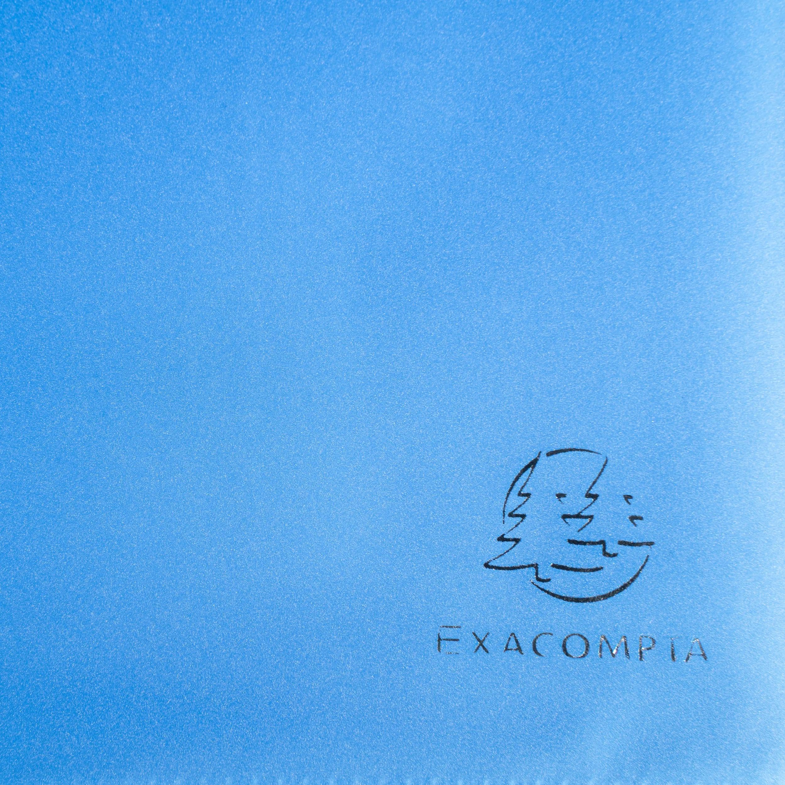 Exacompta - Ref. 85462E - Cartón de 12 protectores de documentos de cromalina, 40 fundas de cristal liso, 80 vistas, para A4, 24 x 32 cm, tapa de polipro translúcido semirrígido, color azul