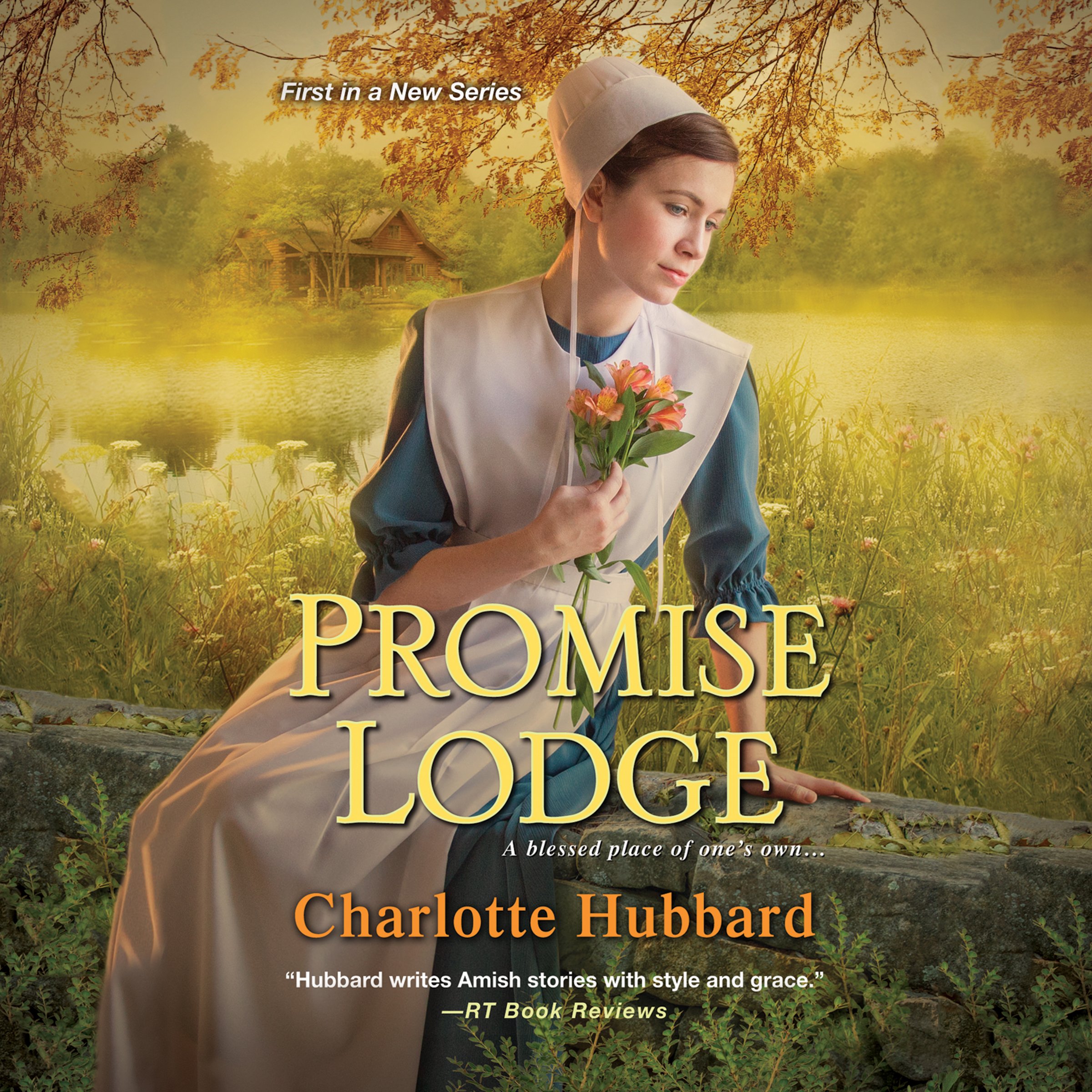 Cover art for Promise Lodge