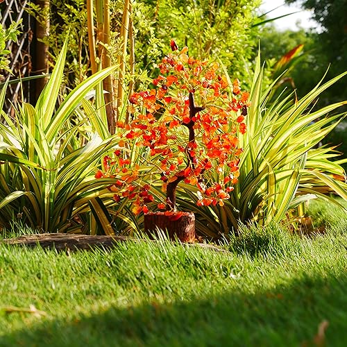 Miniatura 5 de YUVDIPR Cornalina Bonsai Árbol Chakra Sanación Cristal Decoración del Hogar Sala Buena Suerte Oficina Regalo Espiritual Aura Limpieza Piedra Piedra