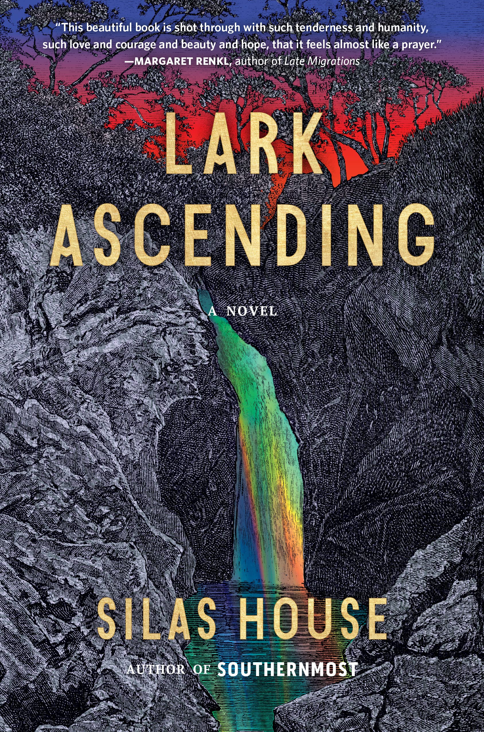 Lark Ascending - 9781643751597