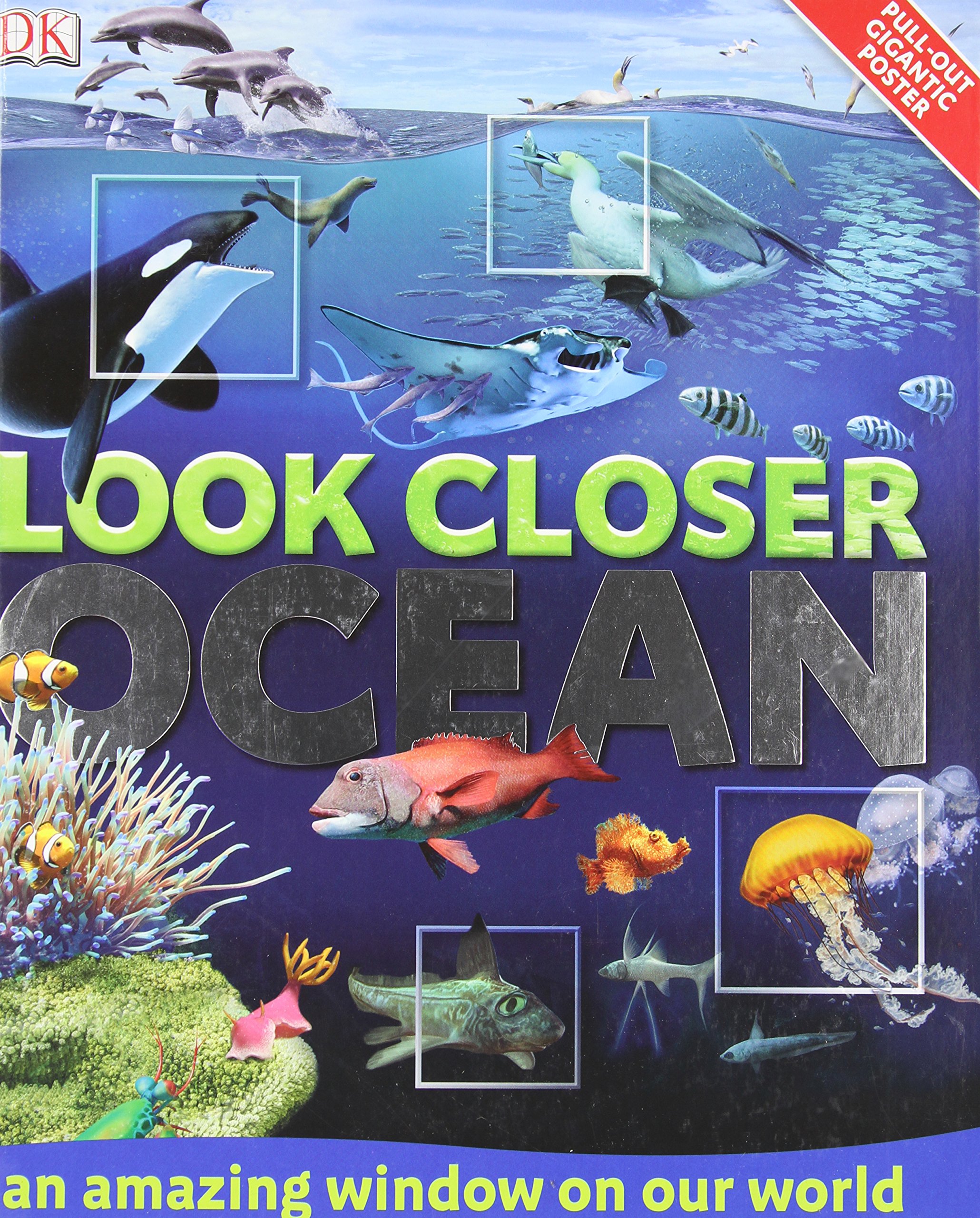 Ocean (Look Closer)
