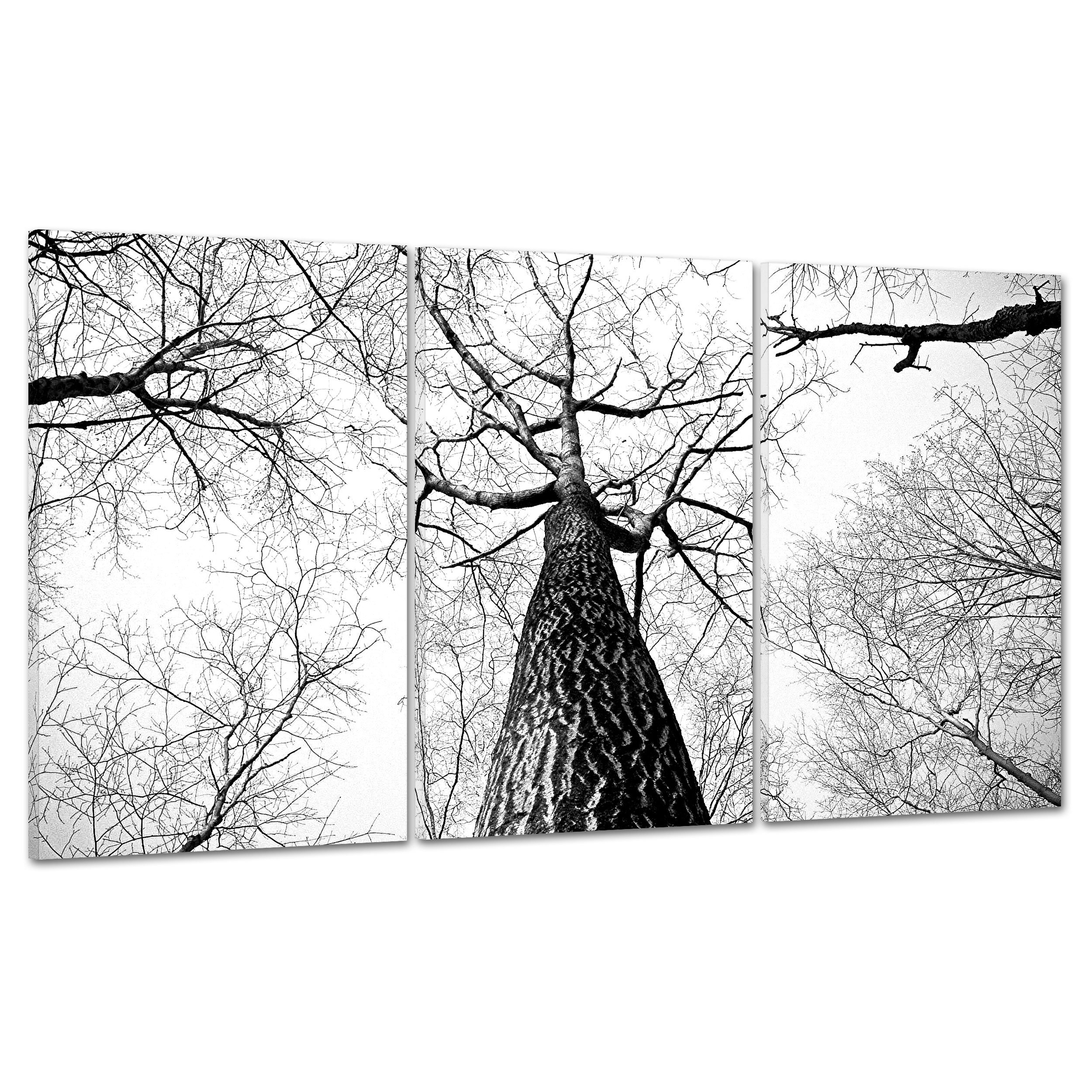 QUADRO SU TELA CANVAS - INTELAIATO - PRONTO DA APPENDERE - Alberi Foresta Bianco e Nero - Paesaggio Natura Panorama - 100x50cm (cod.4356)
