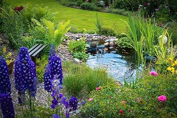 HALF OFF PONDS Savio Signature 4000 GPH Pond Kit 15 x 20 Ft EPDM Liner