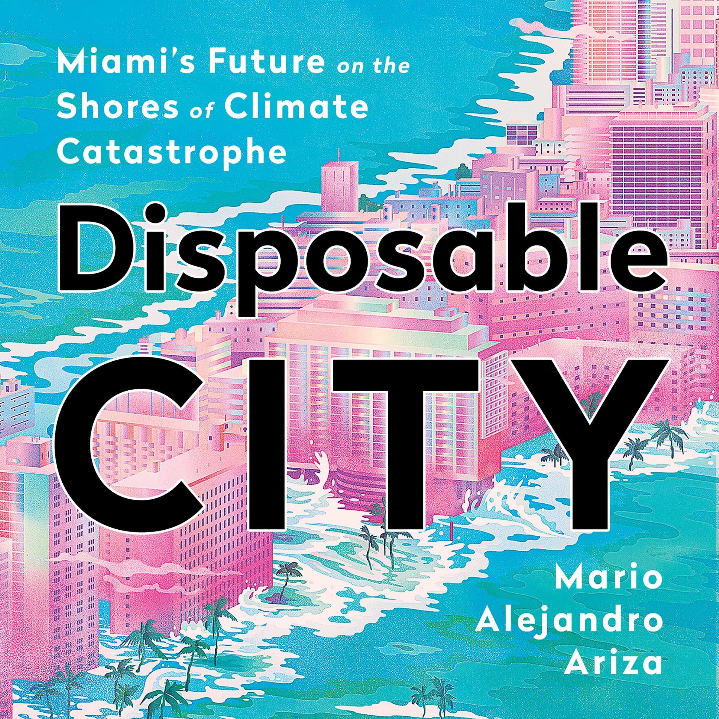 Cover art for Disposable City