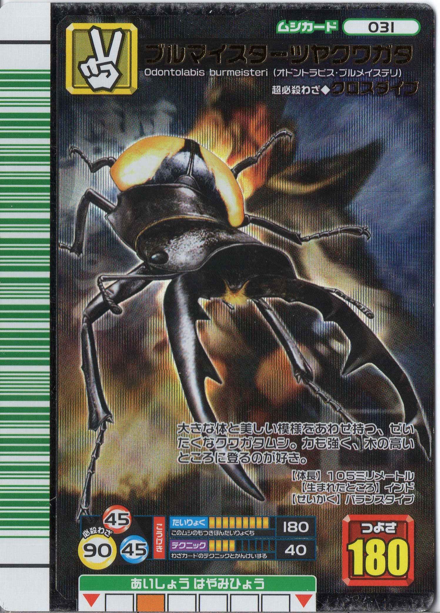 Amazon.co.jp: ムシキング MUSI-031-2007FA ブルマイスターツヤ