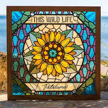 Petaluma [Disco de Vinil] por This Wild Life, capa do álbum