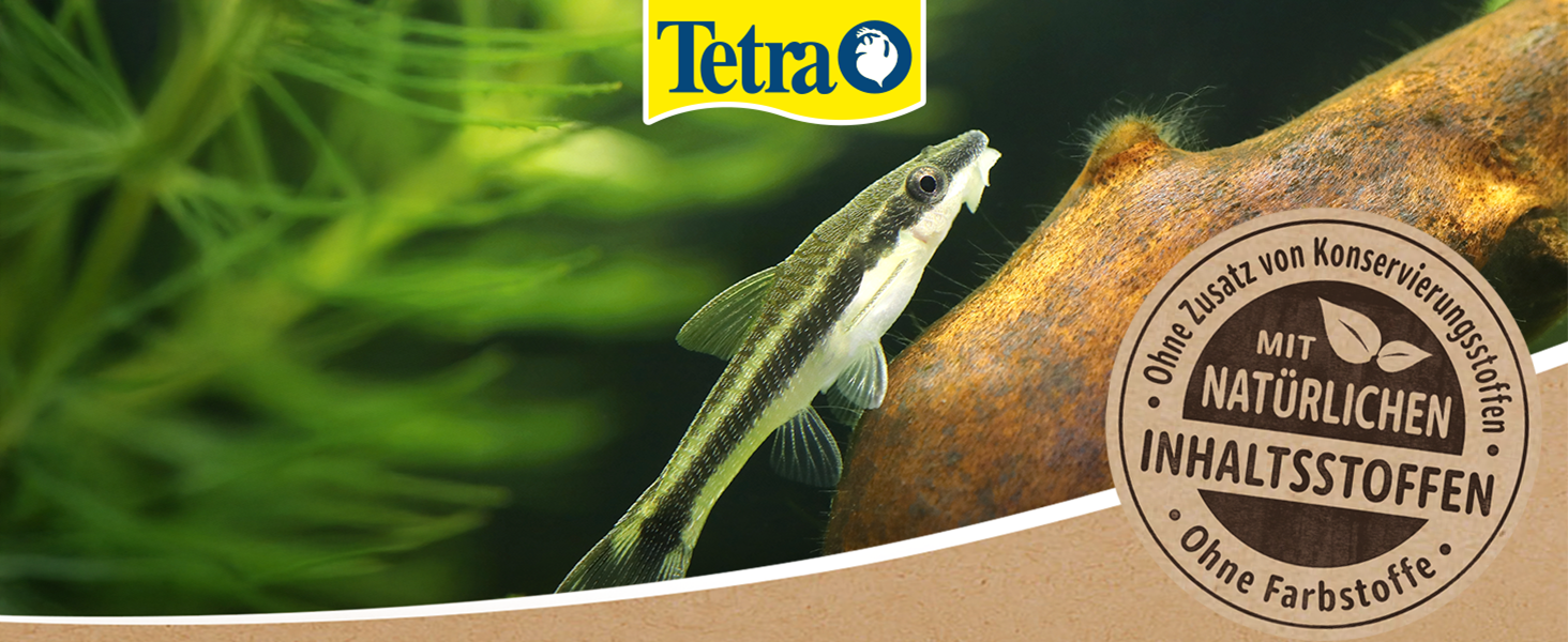 Tetra Rubin Granules & Pleco Tablets - Fischfut Produktbild-Vorschau 6
