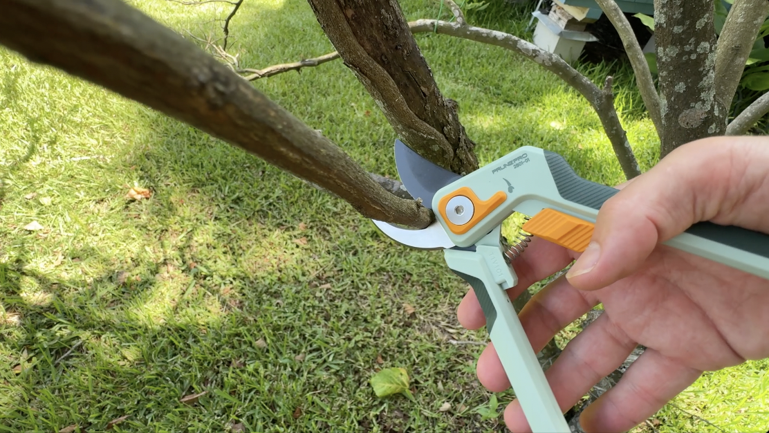 BEST Hand Pruners? | PrunePro Pruning Shears for Gardening