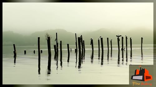 Lonely Lake - Calm Lakeside View