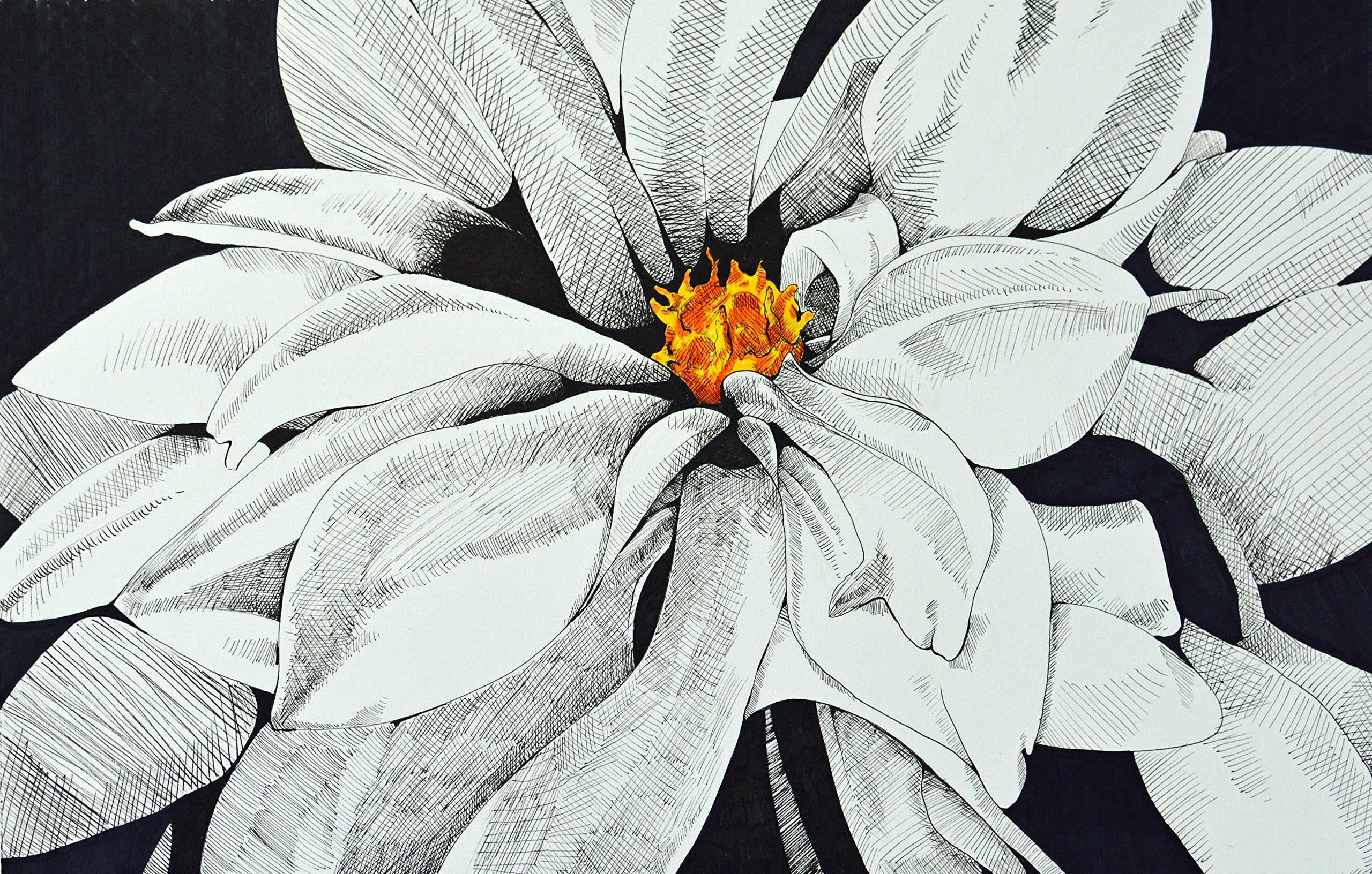 Flower dahlia drawing black and white giclee print 8x10 pen and ink
