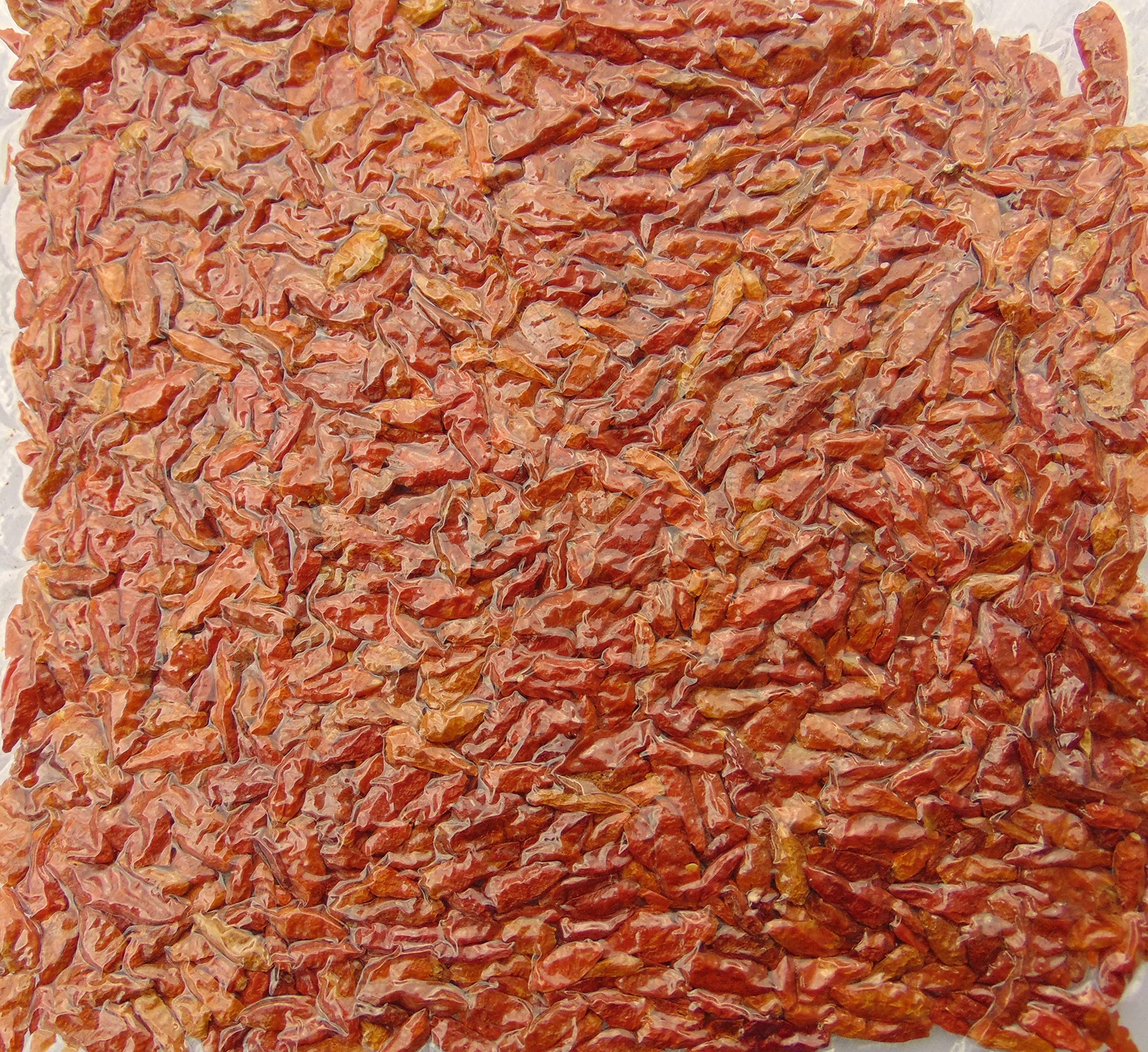 Pili-Pili / Piments Entiers Langue d'Oiseau Pili-Pili / Uganda / 500 g
