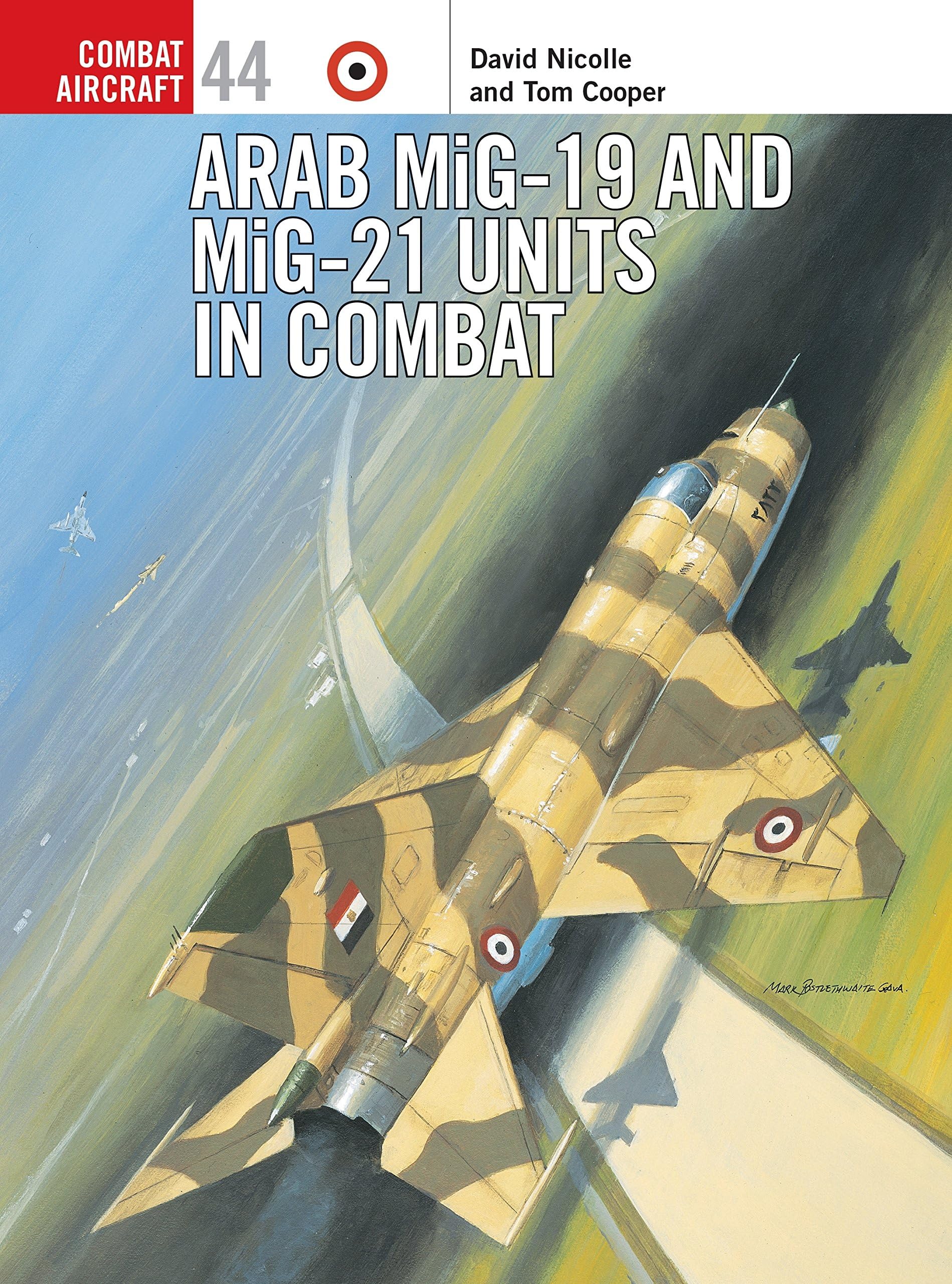 Arab MiG-19 & MiG-21 Units in Combat (Combat Aircraft, 44)
