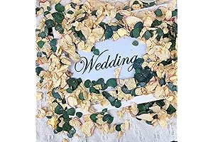 Biodegradable Dried Flowers - Petalos De Rosa