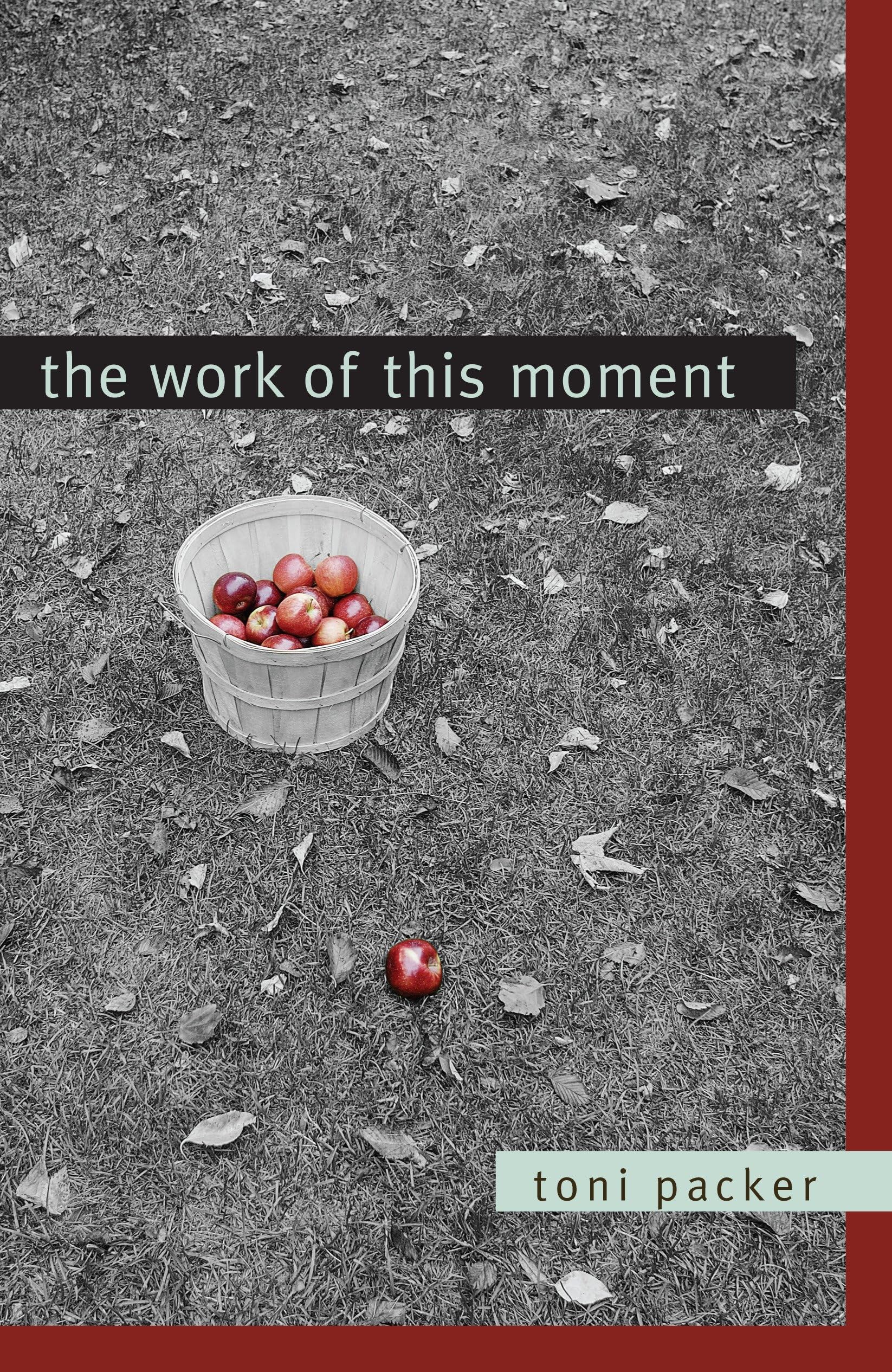 Buy The Work of This Moment — BookShops.in