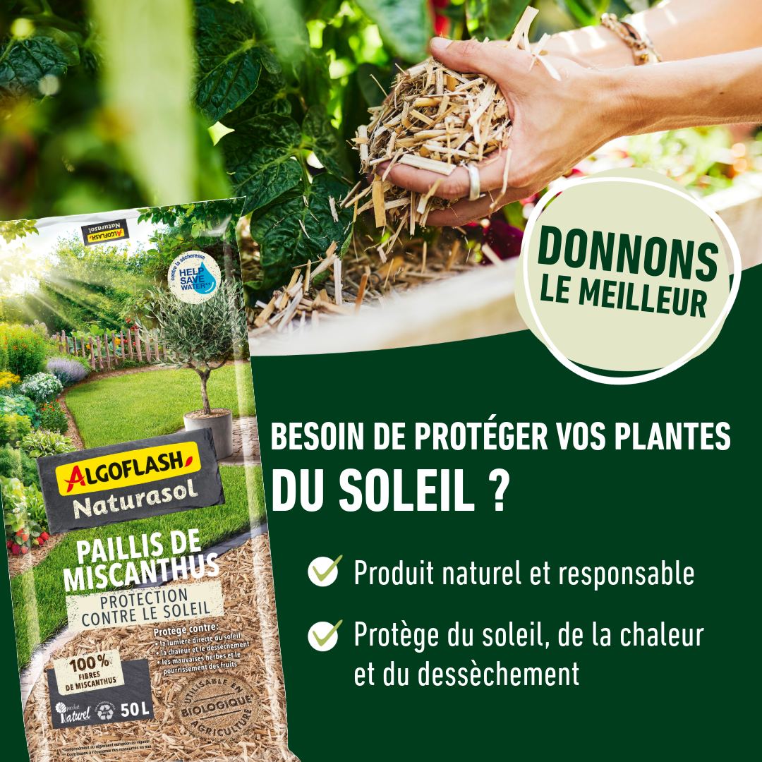 ALGOFLASH NATURASOL Blanc Arboricole Aérosol 400 ml