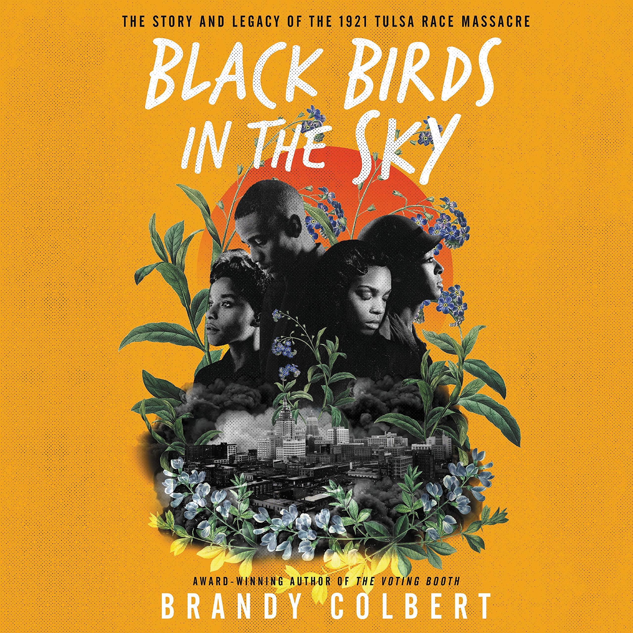 Cover art for Black Birds in the Sky