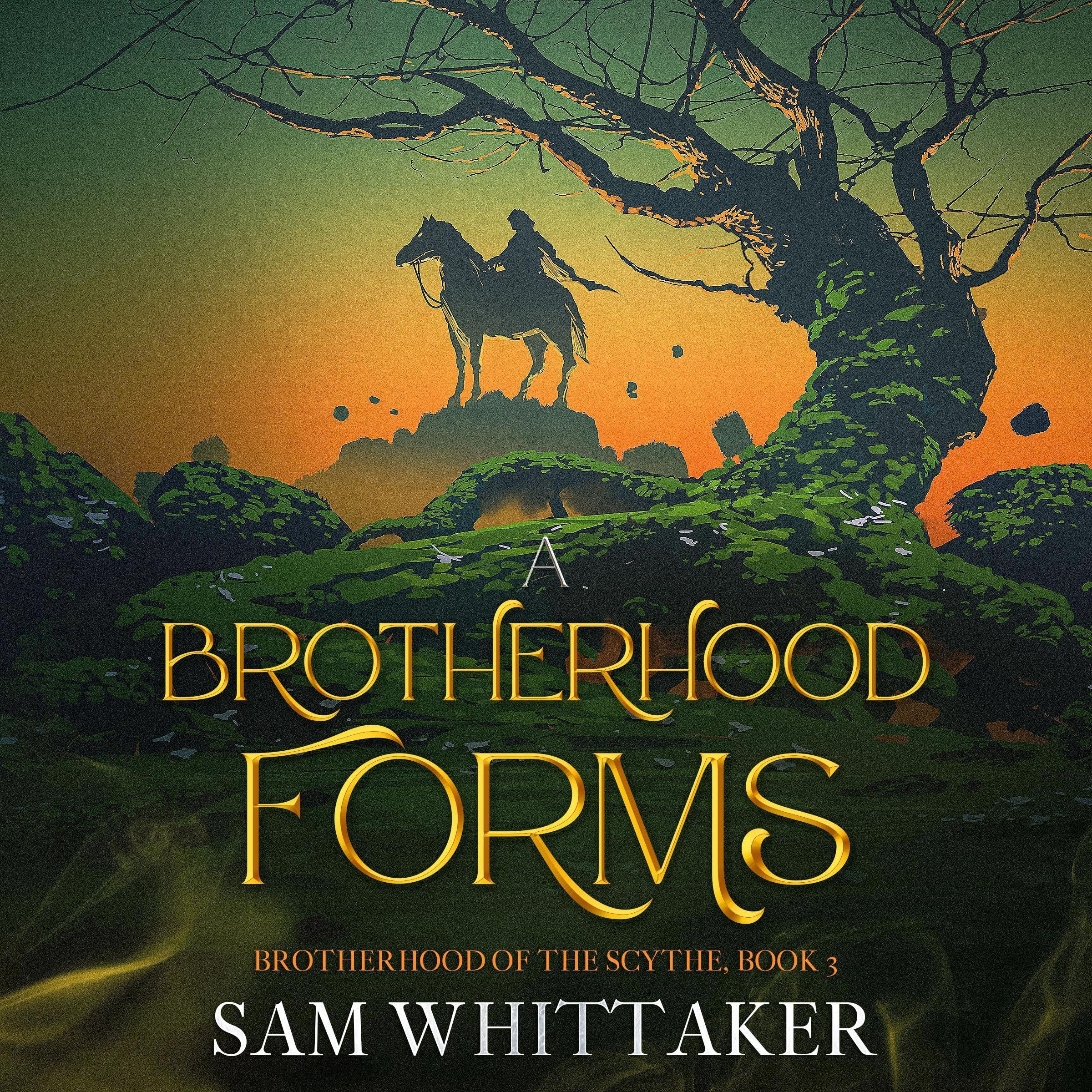 Cover art for A Brotherhood Forms: A Fantasy Adventure of Rising War!