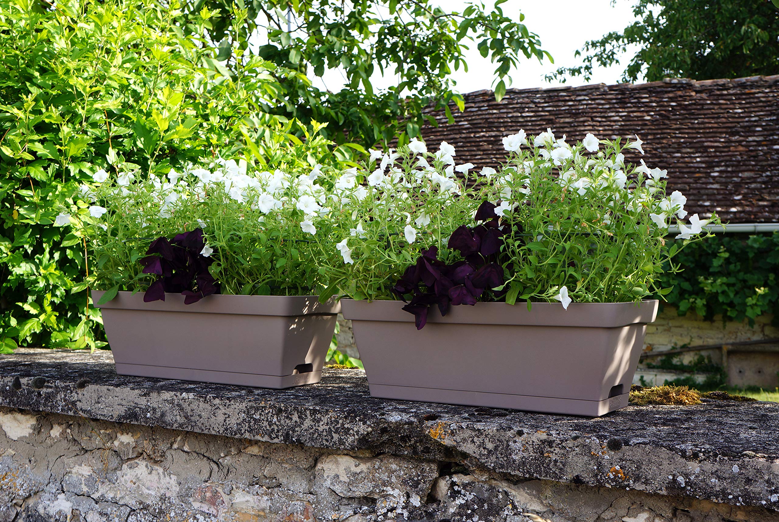 Poetic Romo Blumenkasten, Taupe : Amazon.de: Garten