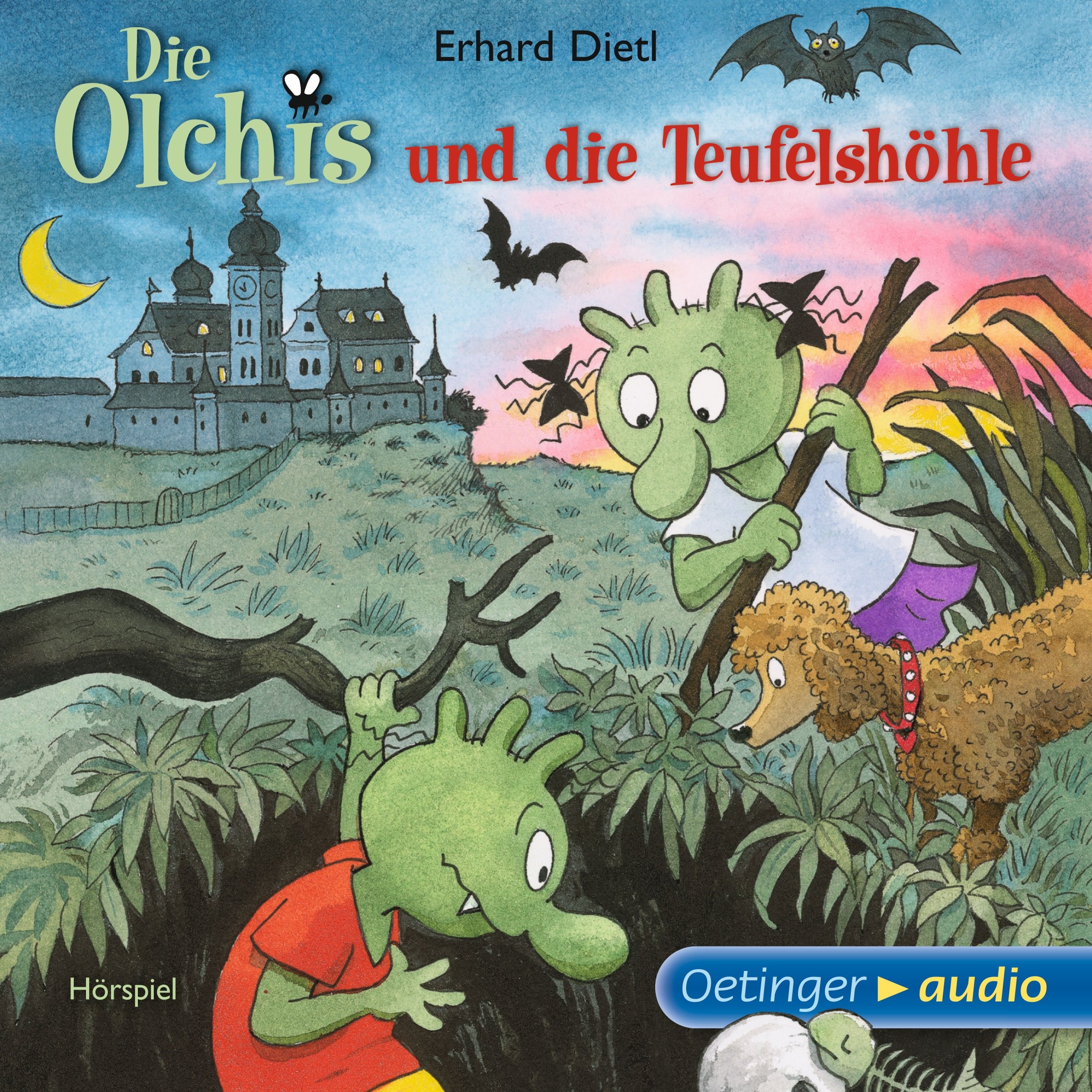 Cover art for Die Olchis und die Teufelshöhle