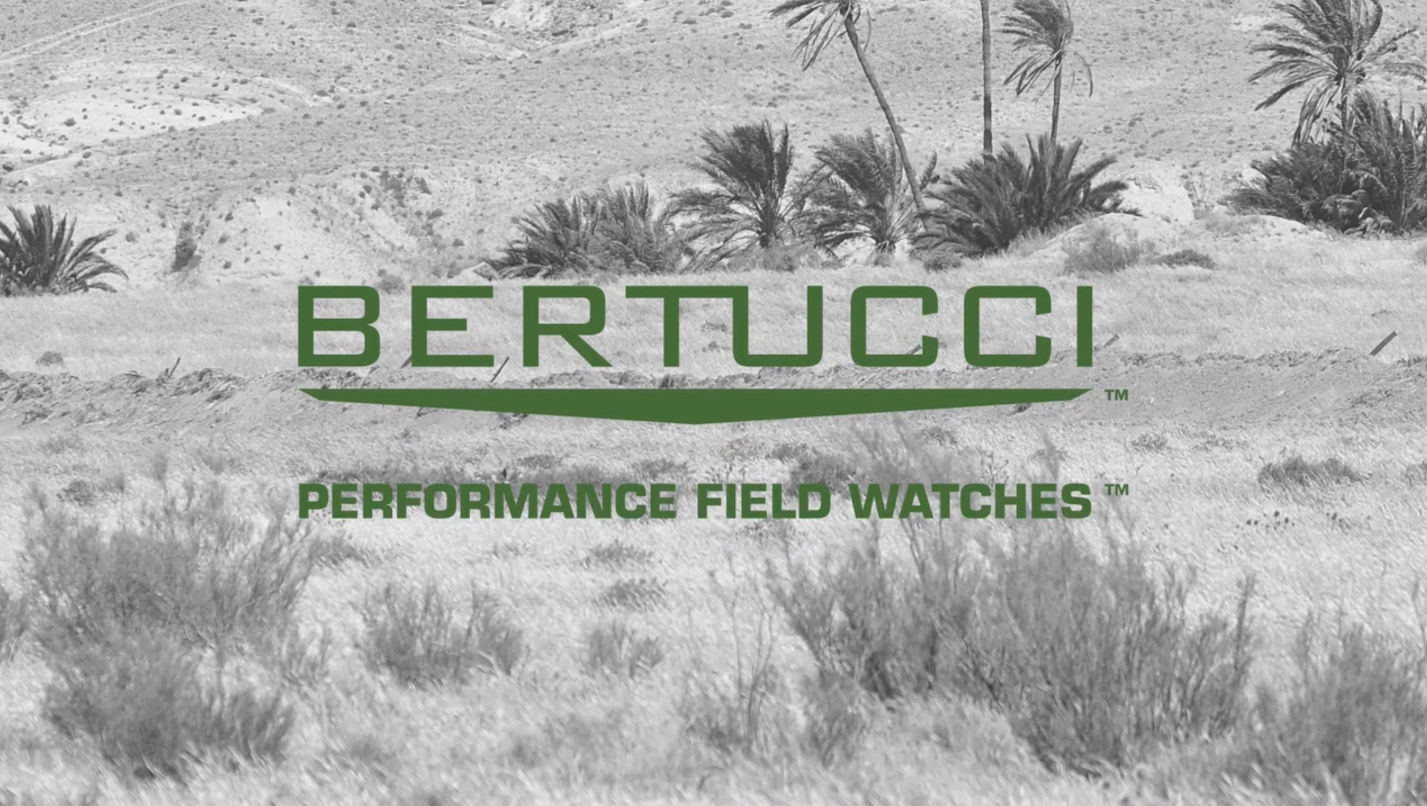 Bertucci A-11t Americana Field Watch - Titanium Case With Vintage Nylon Band