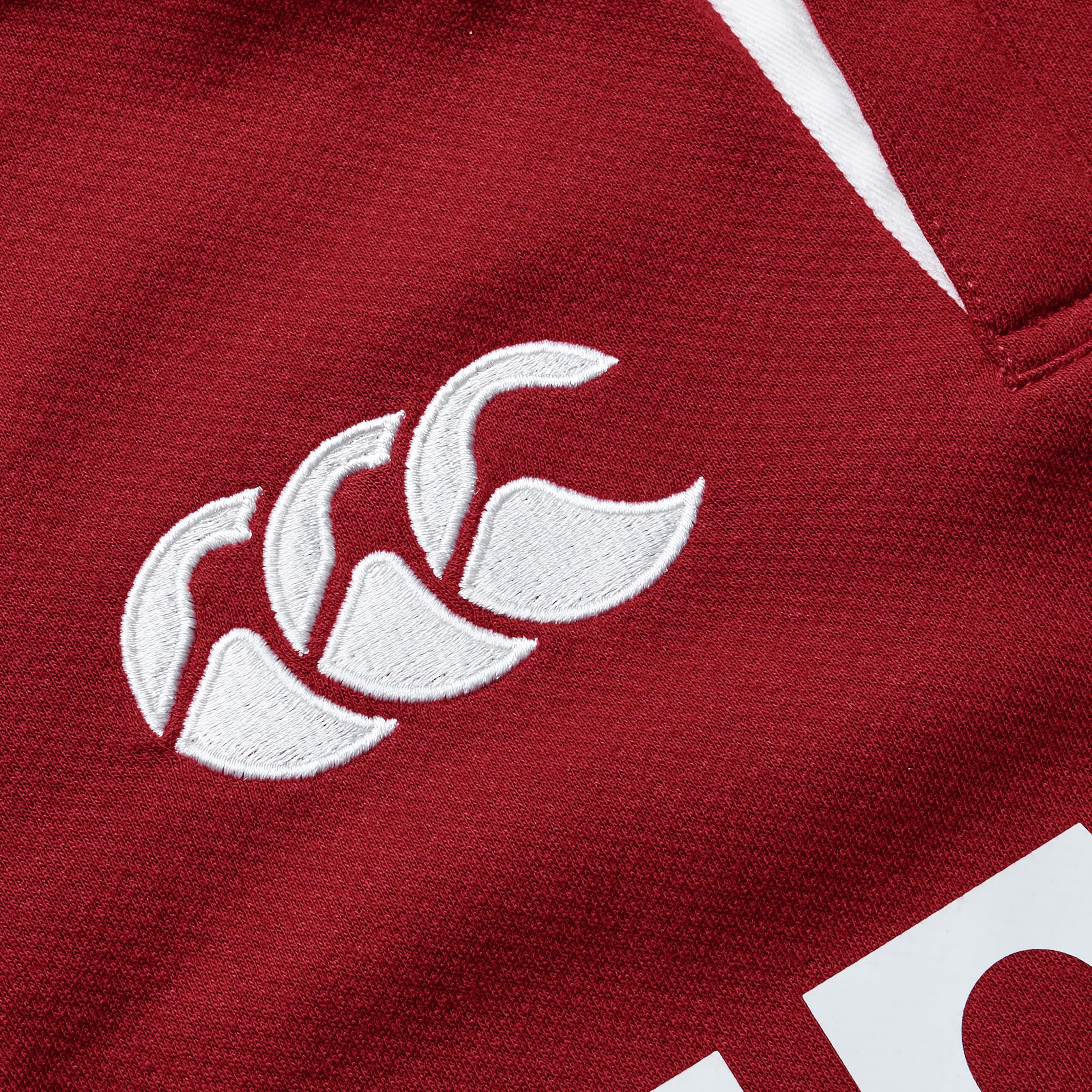 Canterbury of New Zealand - British and Irish Lions SS Classic, Camisa Niños Unisex, Red Dahlia,