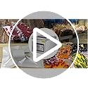 VEVOR Chamber Vacuum Sealer, 320W Sealing Power, Vacuum Packing Machine for Wet Foods, Meats, Marinades and More, Compact Size with 12.6 in Sealing Length, Applied in Home Kitchen and Commercial Use
