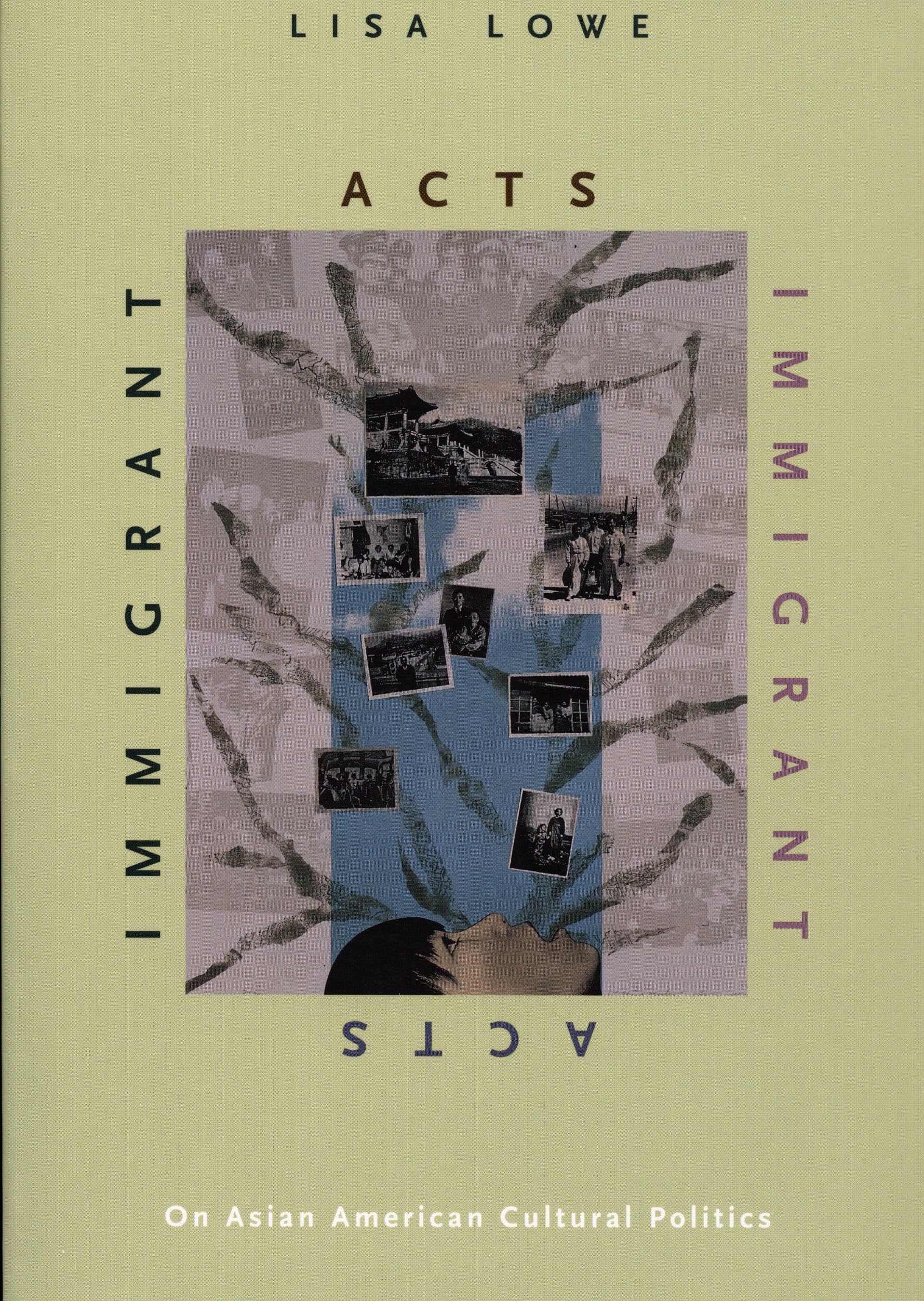 Immigrant Acts: On Asian American Cultural Politics