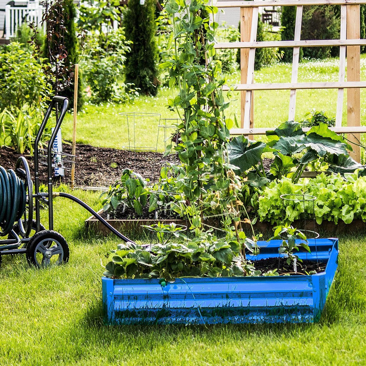 BACKYARD EXPRESSIONS PATIO · HOME · GARDEN 908073 Raised Garden Bed, Turquoise Blue