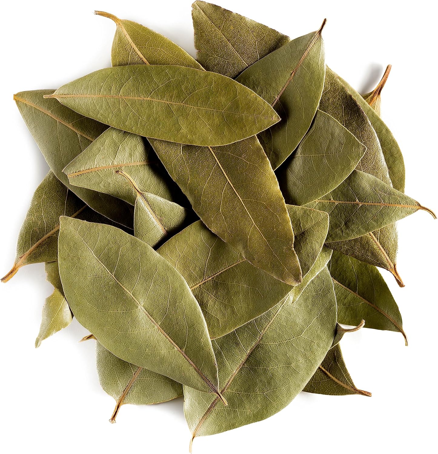 Bay Leaf Organic Herb Laurel Whole Culinary Quality Leaf Bay Leaves