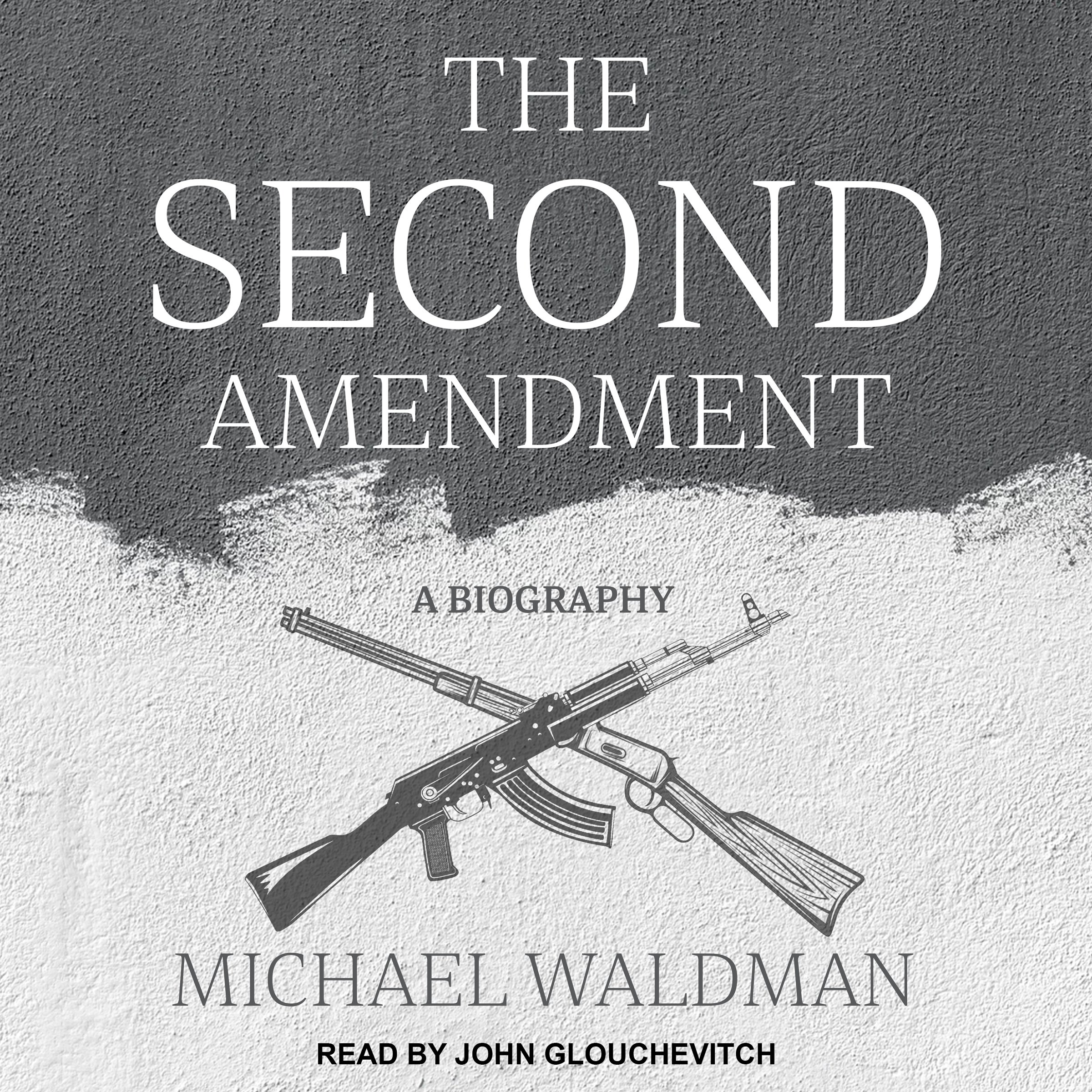 Cover art for The Second Amendment