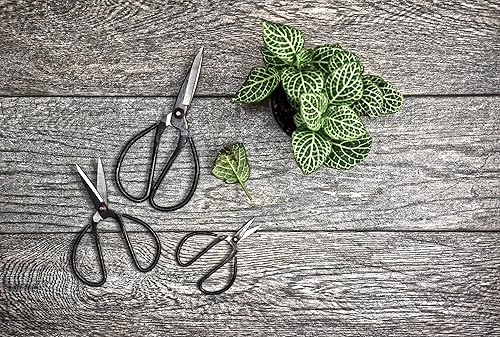 Miniatura 2 de SE Juego de tijeras chinas de 4, 6 y 8 pulgadas (3 piezas) - SC616-864B