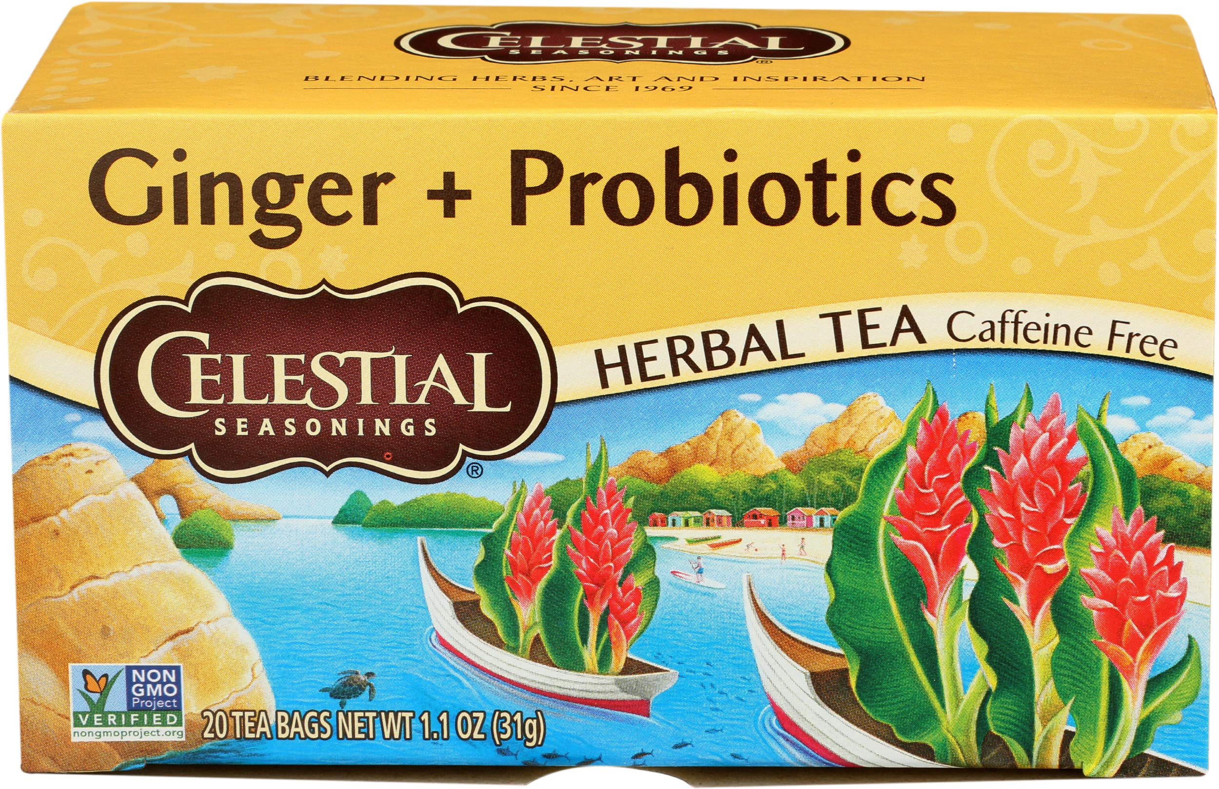 Herbal Tea With Ginger+Probiotics | Non-GMO Project Verified | Caffeine Free | 16 Tea Bags