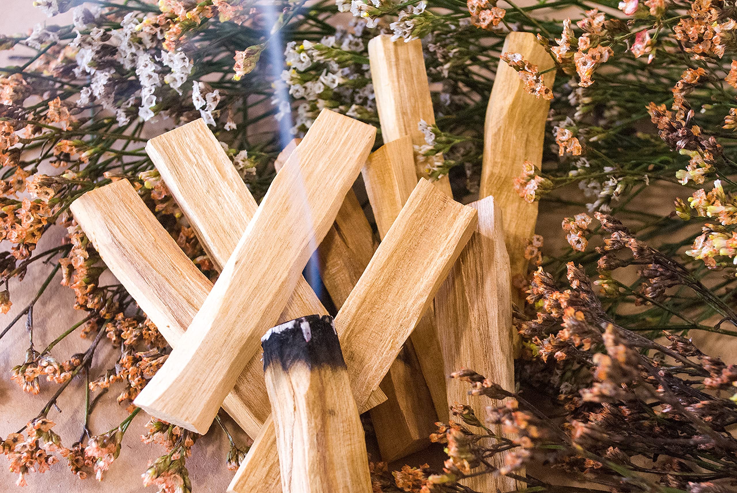 ELEVAVIDA Set van 2 x witte salie (Salvia Apiana) uit Californië en 2 x Palo Santo uit Peru - natuurlijke wierook voor energiezuivering, slikjes White Sage & Bursera Graveolen