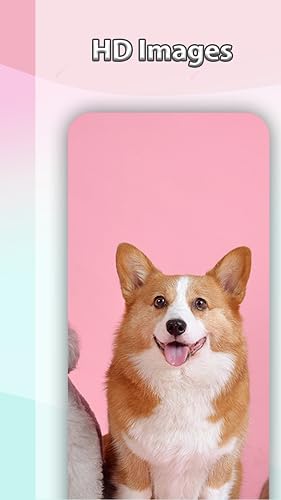 Téléchargeur d'images - Photos et images Full HD – vue 7