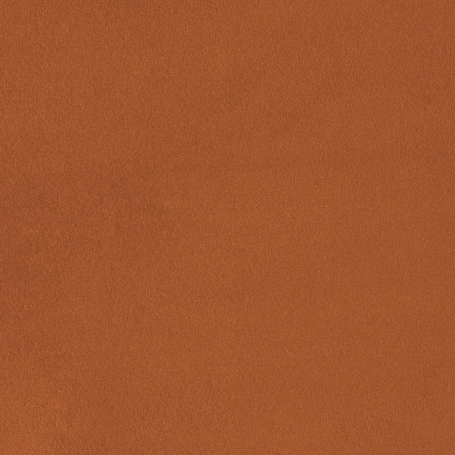 Lexicon Nellie Accent Chair, Orange : Home & Kitchen