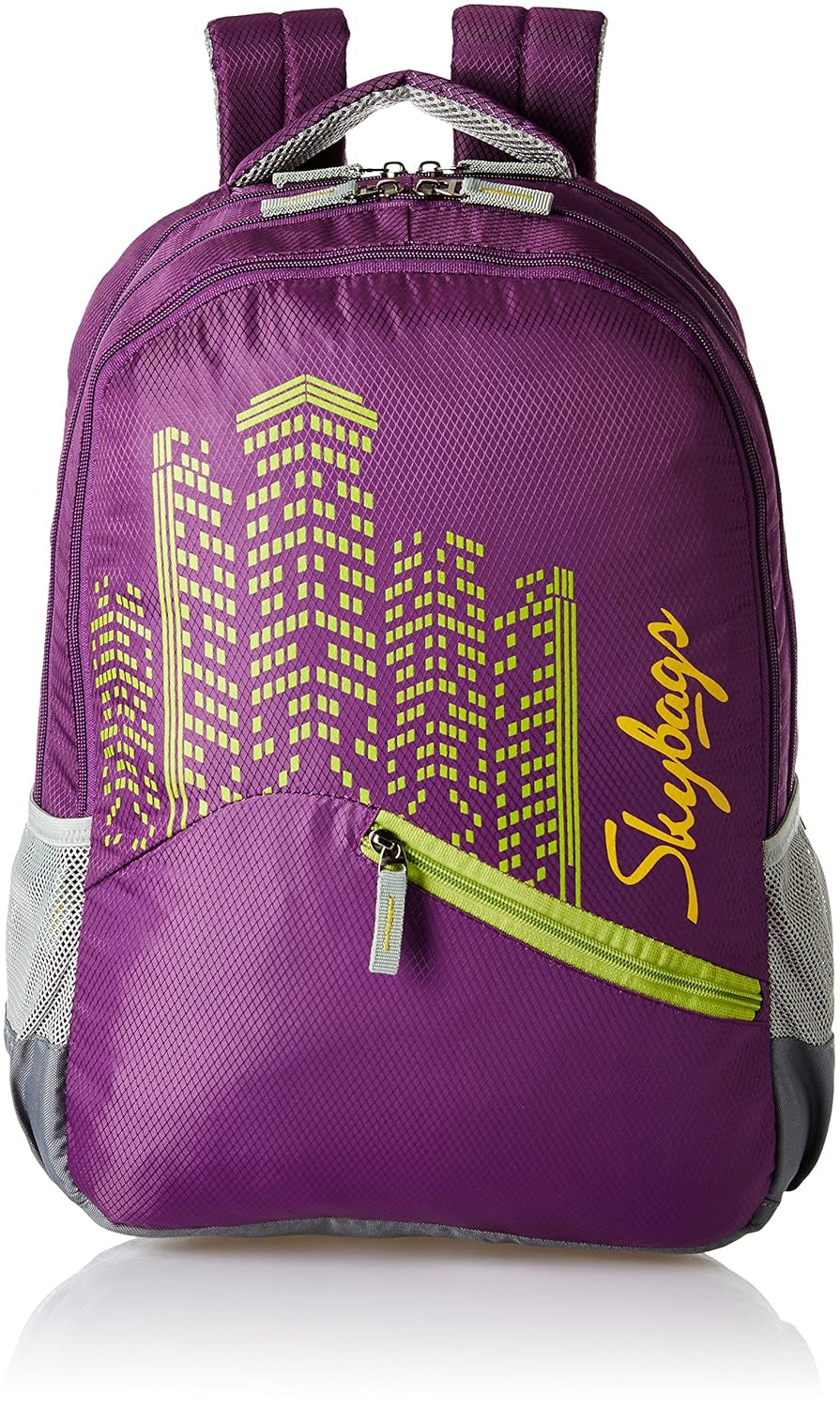 Buy Skybags Footloose Colt 30 Ltrs Purple Casual Backpack (BPFCOE2EPPL