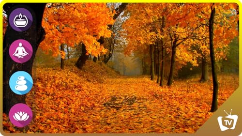 Cozy Early Morning Autumn Sounds | Crunchy Leaves & Peaceful Fall Music