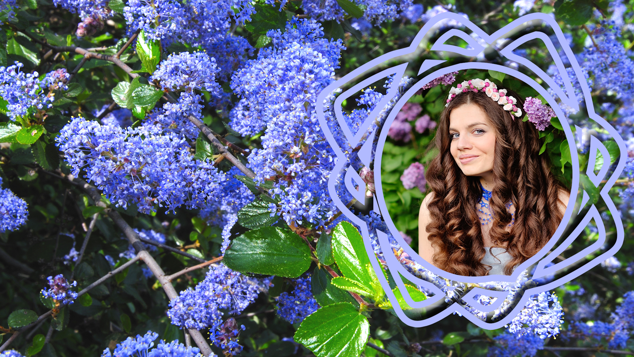 Lilac Flowers Photo for Android