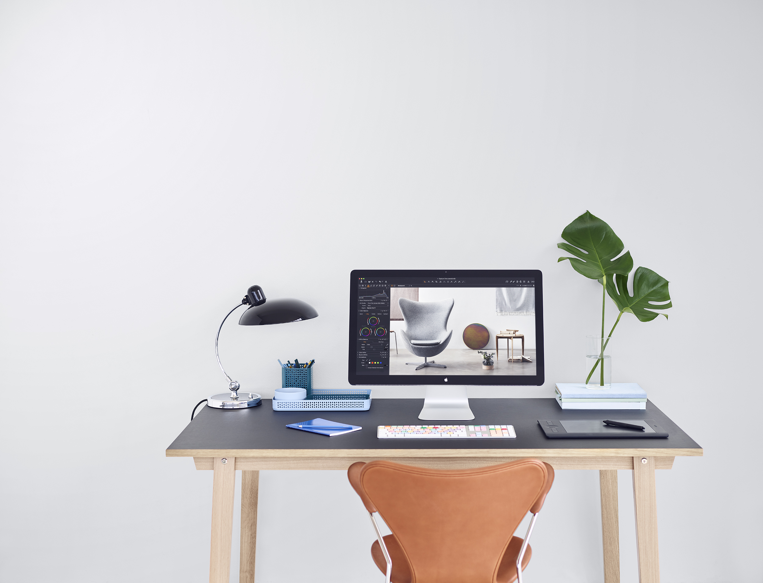 Capture One 11 Logiciel d’édition photo | Mono utilisateur, 3 postes | Mac [Téléchargement]