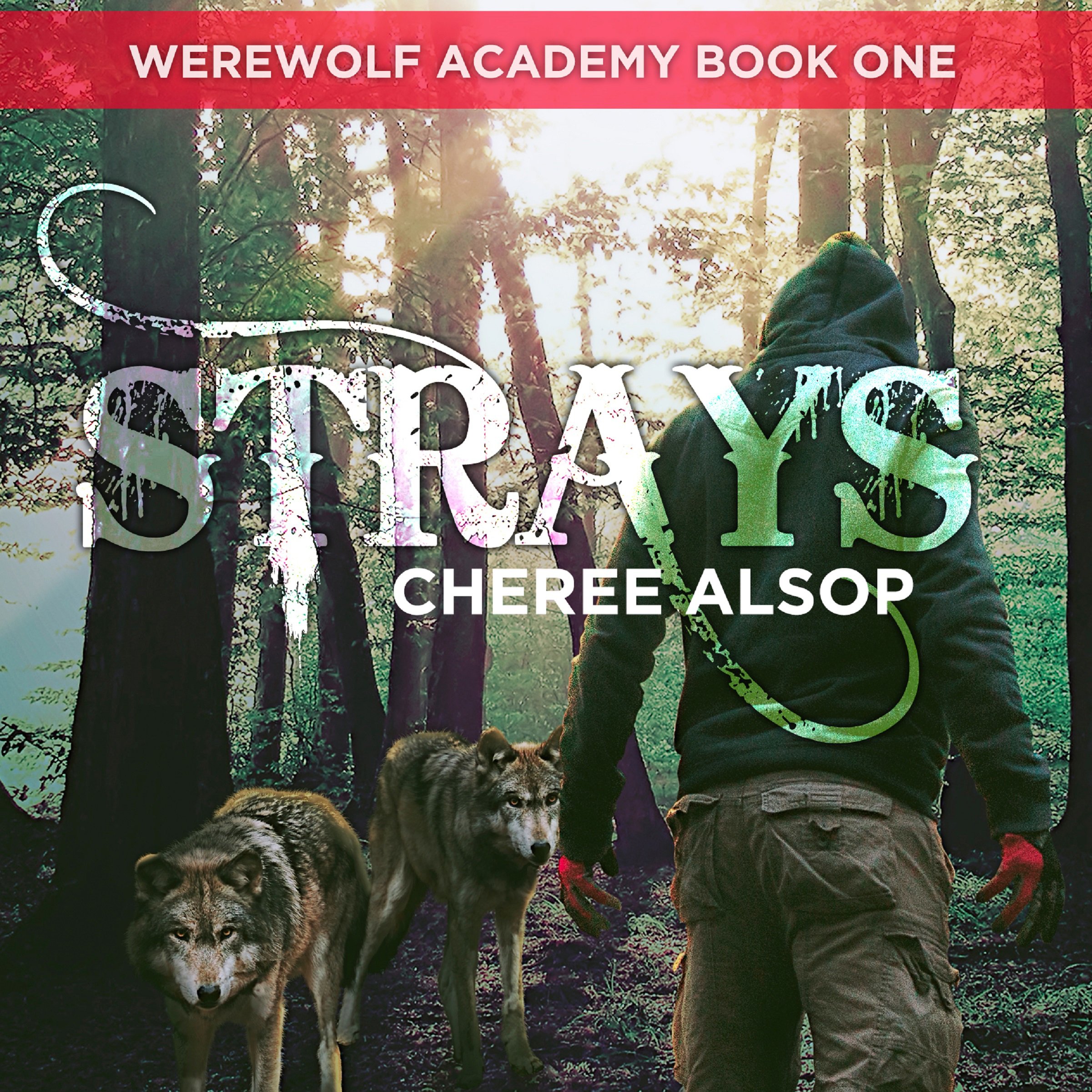 Cover art for Strays