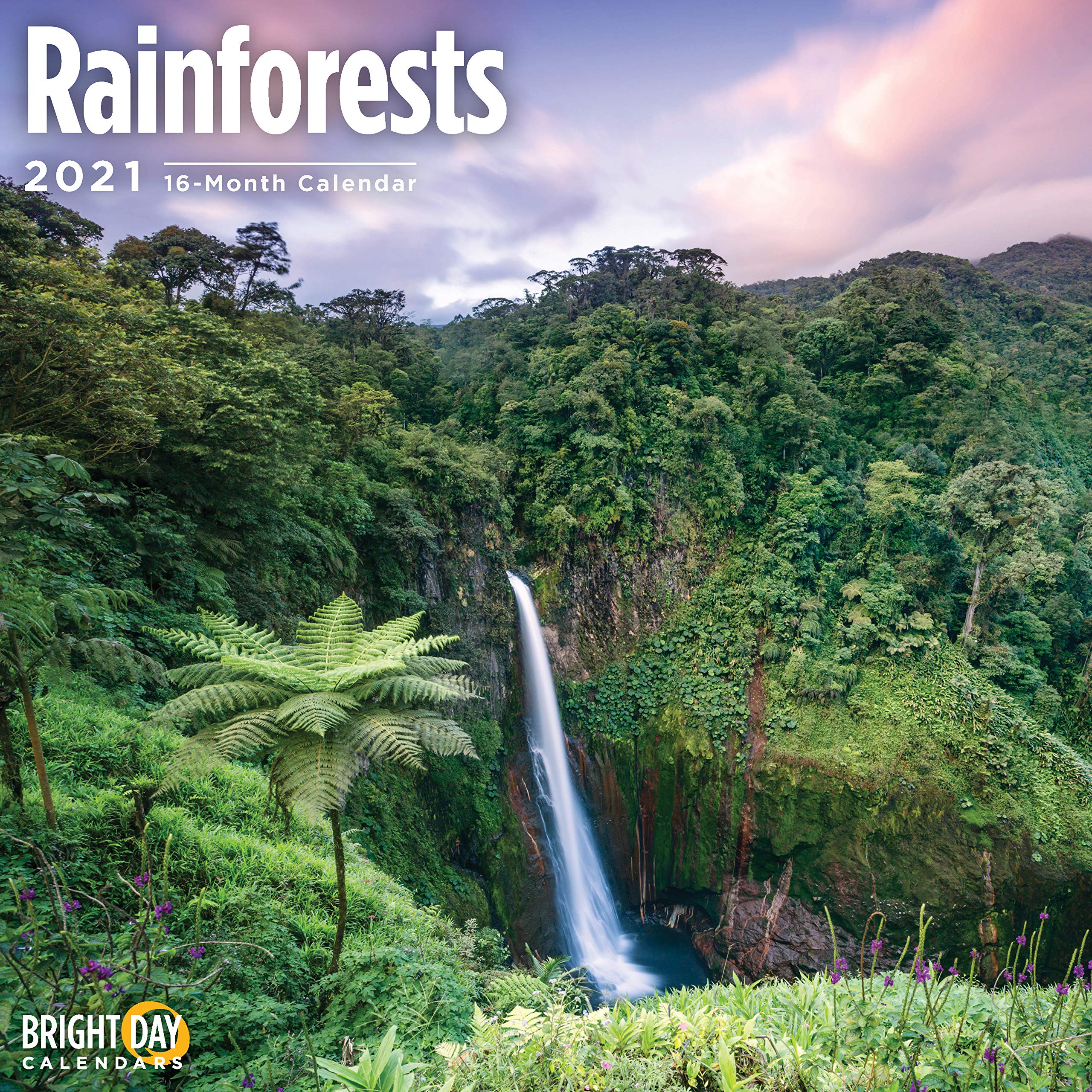 2021 Rainforests Wall Calendar by Bright Day, 12 x 12 Inch, Waterfall Jungle Animals
