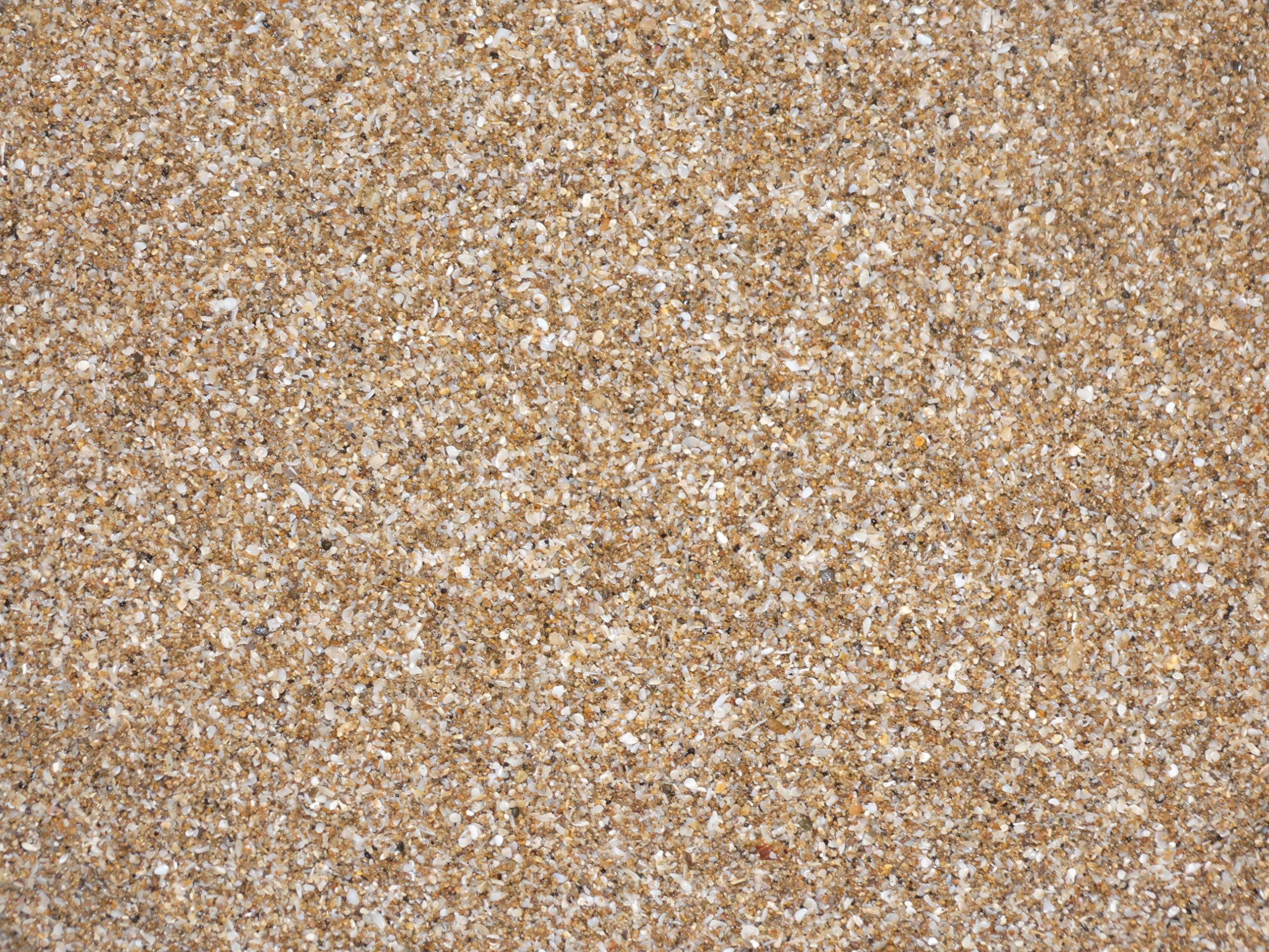 Maalavya 5Kg Powder Sea Sand for Garden Decor Home Decor Backyard Patio Pathway Indoor and Outdoor Decoration Aquarium Substrate (B0C178C2ZY) Amazon Price History, Amazon Price Tracker